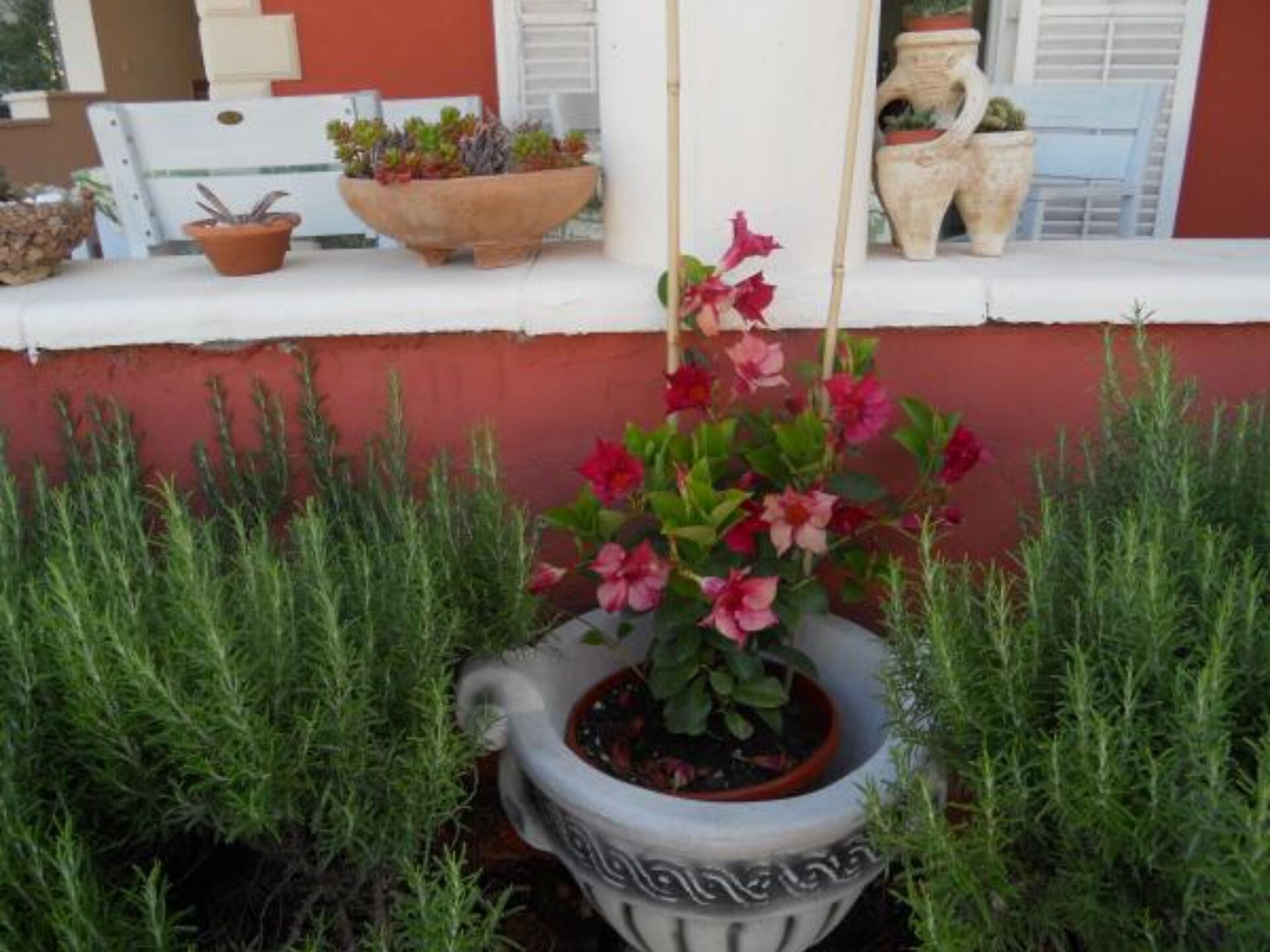 Rustiek appartement met terras in Vodice, vlakbij strand en centrum - foto 12