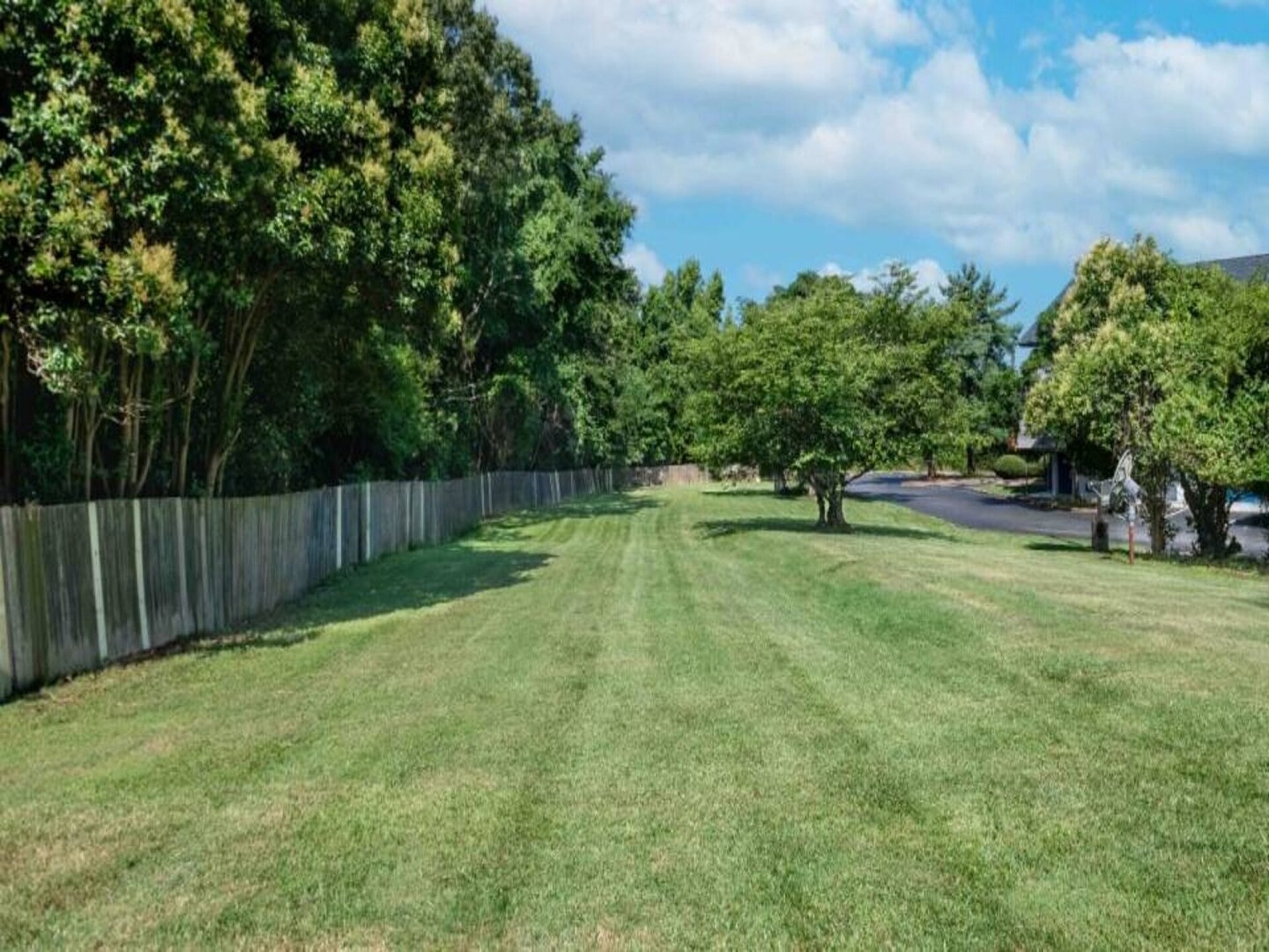 Comfortabele kamer voor 4 in Charlotte NC – Huisdieren welkom - foto 15