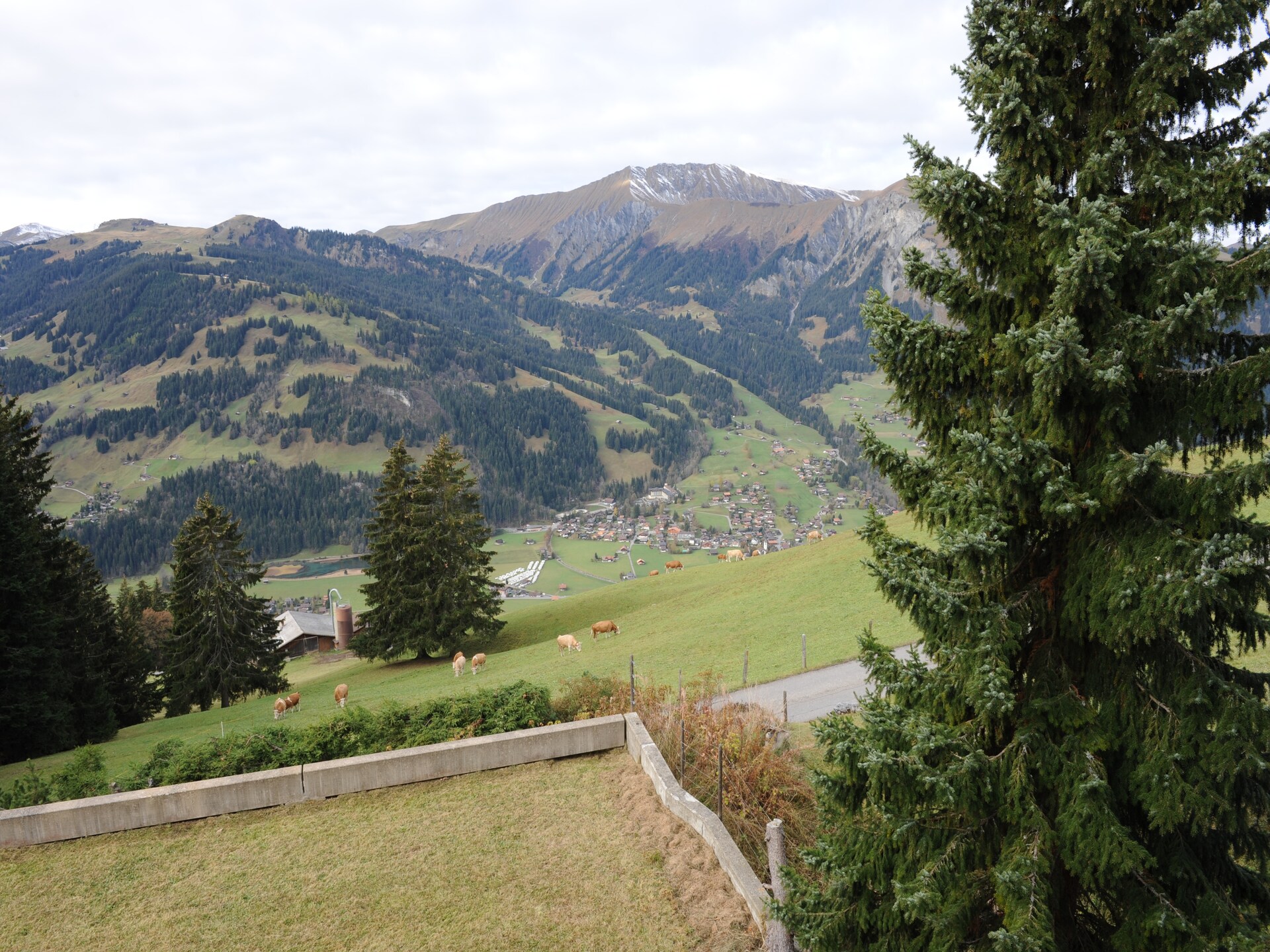 Ruim appartement in Lenk met bergzicht, terras en BBQ voor 6 personen - foto 28
