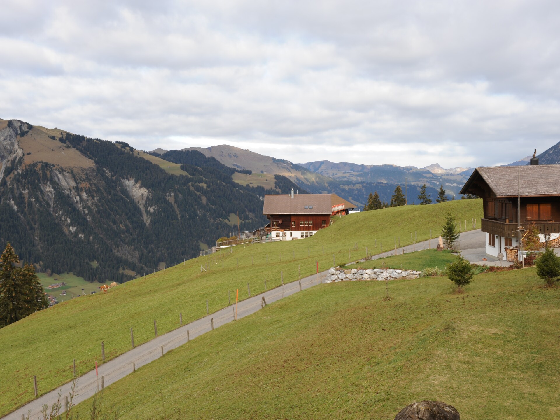 Ruim appartement in Lenk met bergzicht, terras en BBQ voor 6 personen - foto 30