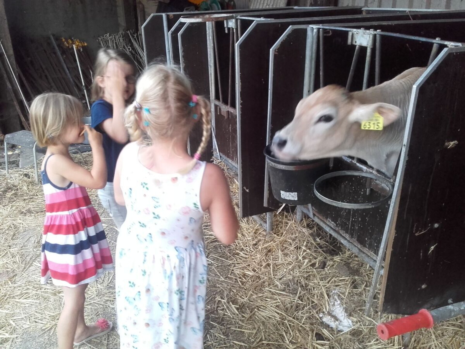Ruim landelijk vakantiehuis met pooltafel en trampoline nabij Heeg - foto 17