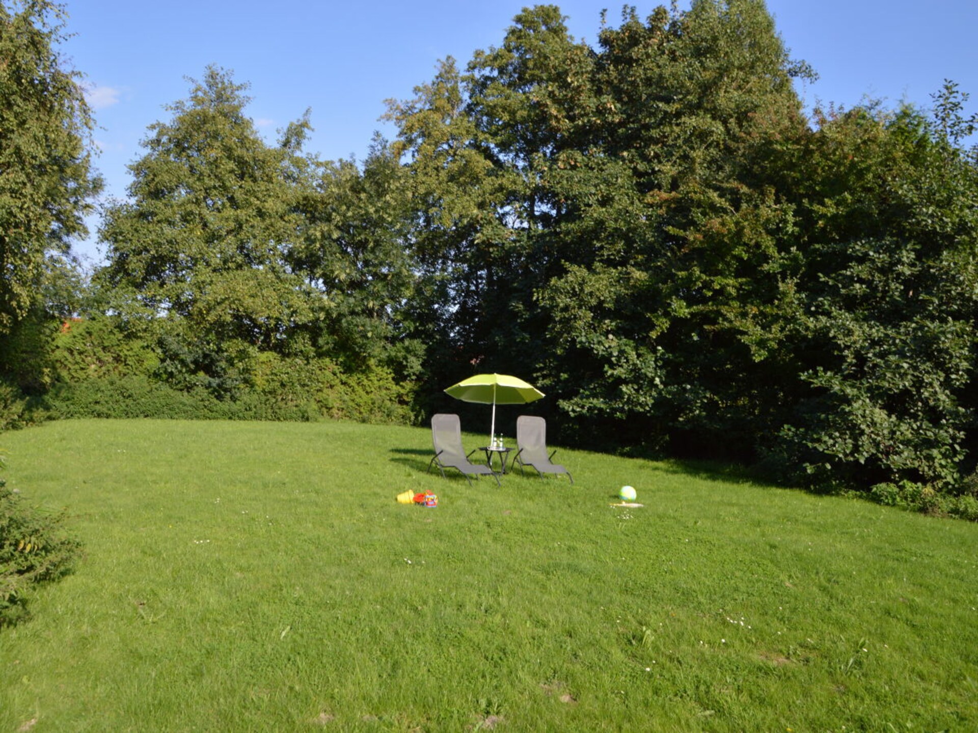591882 - foto 2