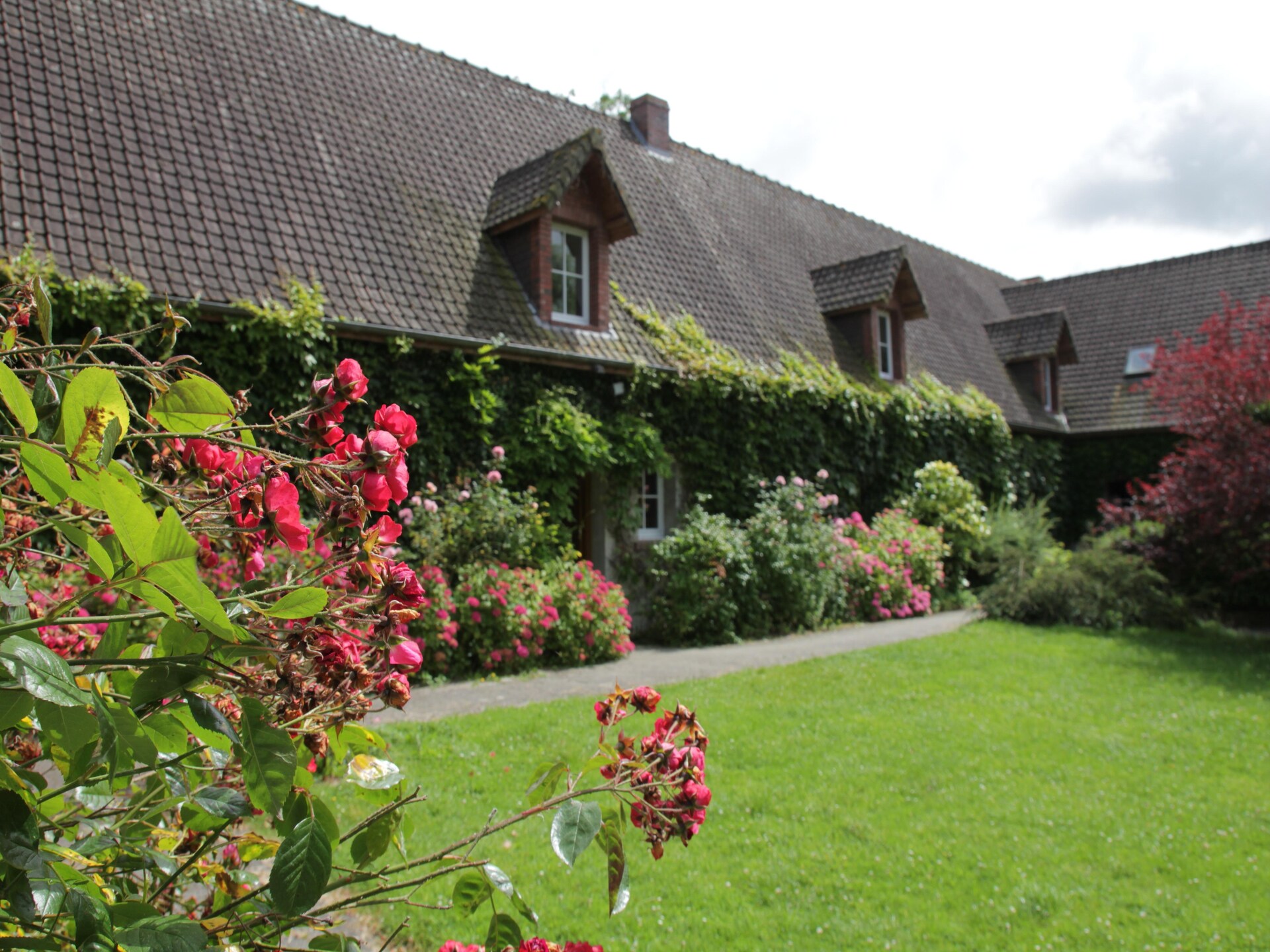 Gite 3 - foto 19