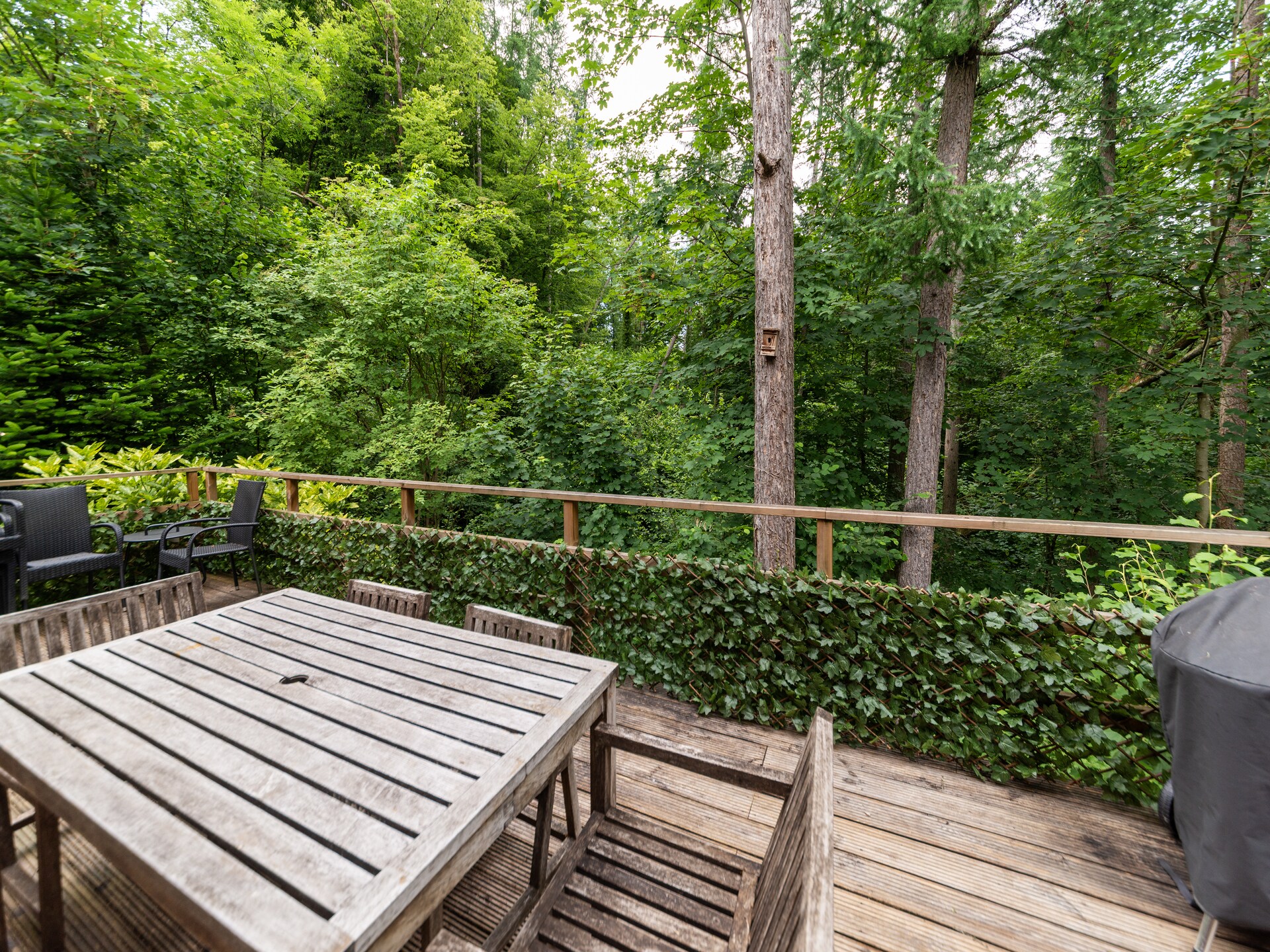 Vrijstaand chalet voor 6 in Hastière met ruime tuin en honden welkom - foto 32