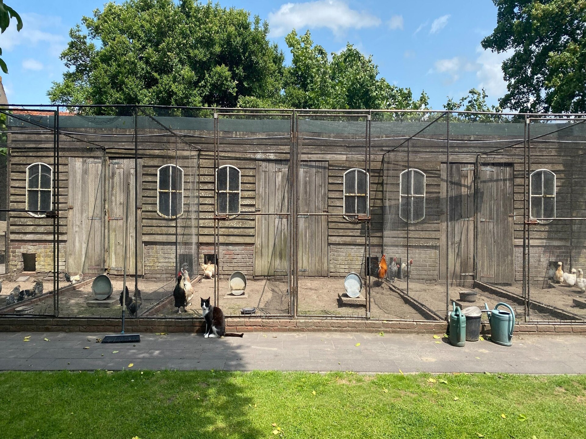 Gezellig vakantiehuis met tuin, op 5 km van Bergen op Zoom - foto 24