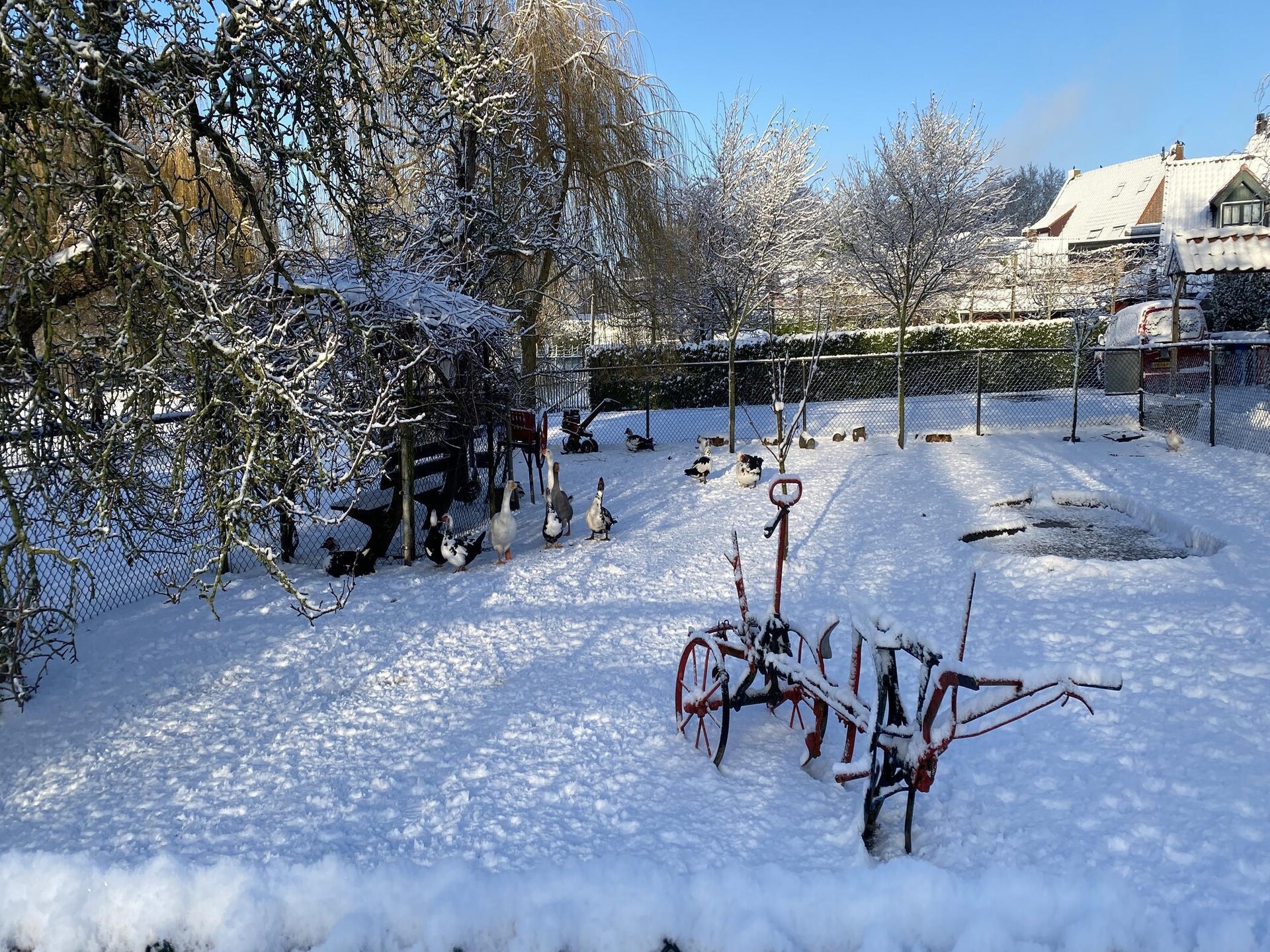 Gezellig vakantiehuis met tuin, op 5 km van Bergen op Zoom - foto 19
