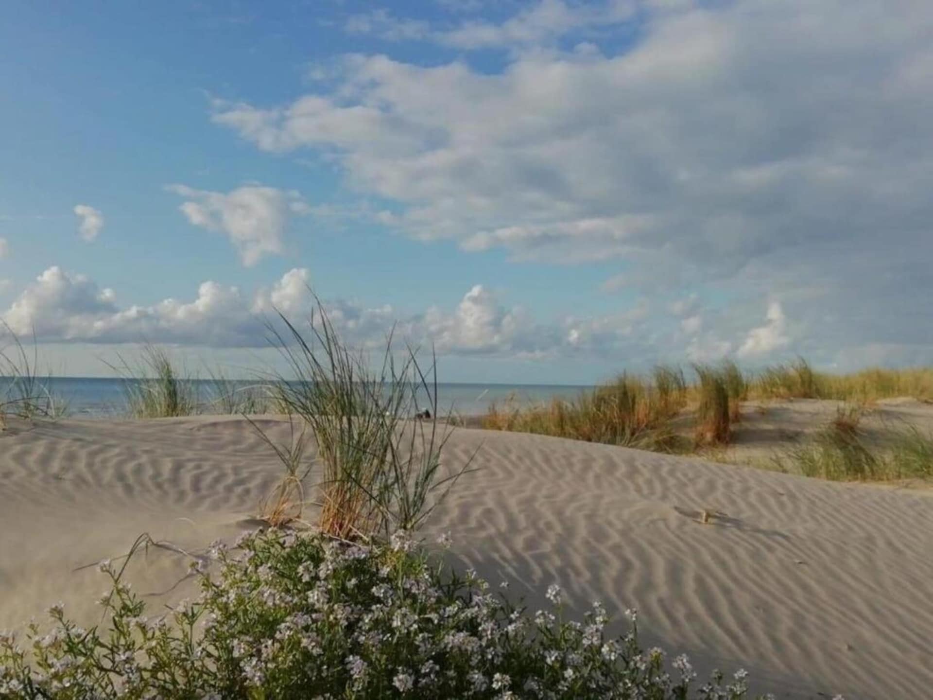 Comfortabel appartement Gite 5 in bosrijke omgeving nabij Quend-Plage - foto 38