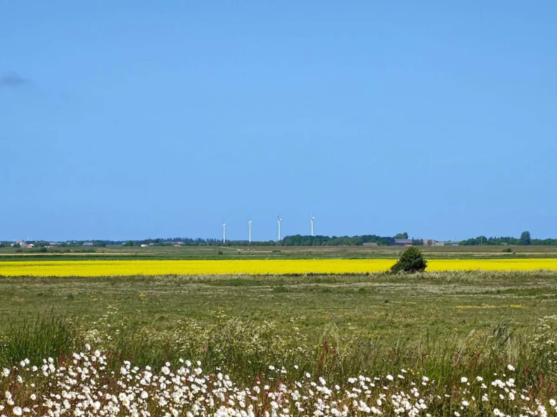 Historisch vakantiehuis in Højer bij Nationaal Park Waddenzee - foto 4