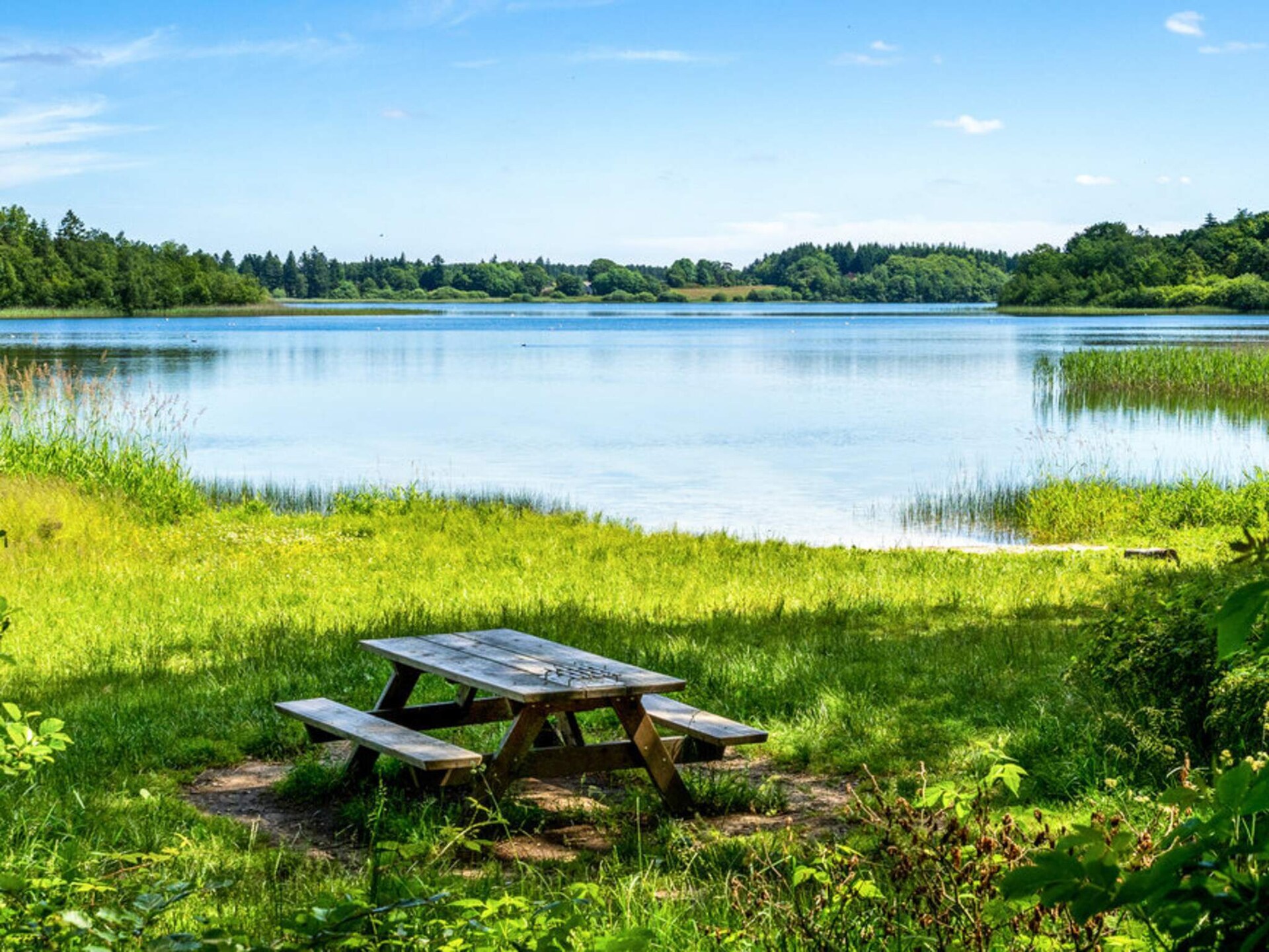 Knusse 4-persoons vakantiehut nabij het Hampenmeer in Midden-Jutland - foto 2