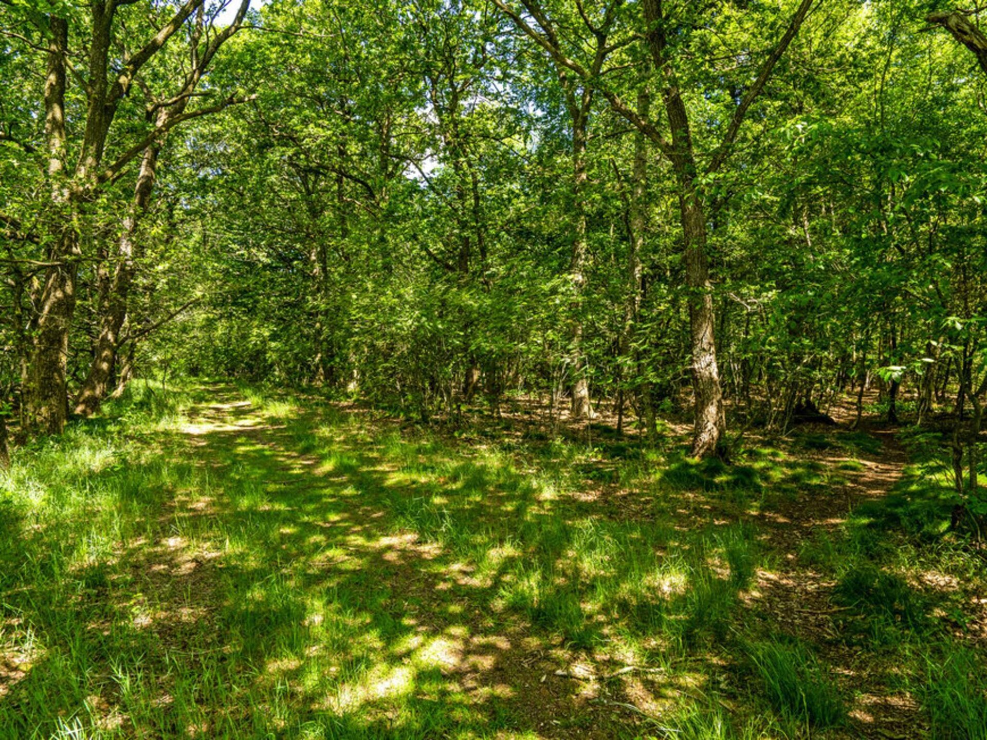 Knusse 4-persoons vakantiehut nabij het Hampenmeer in Midden-Jutland - foto 10