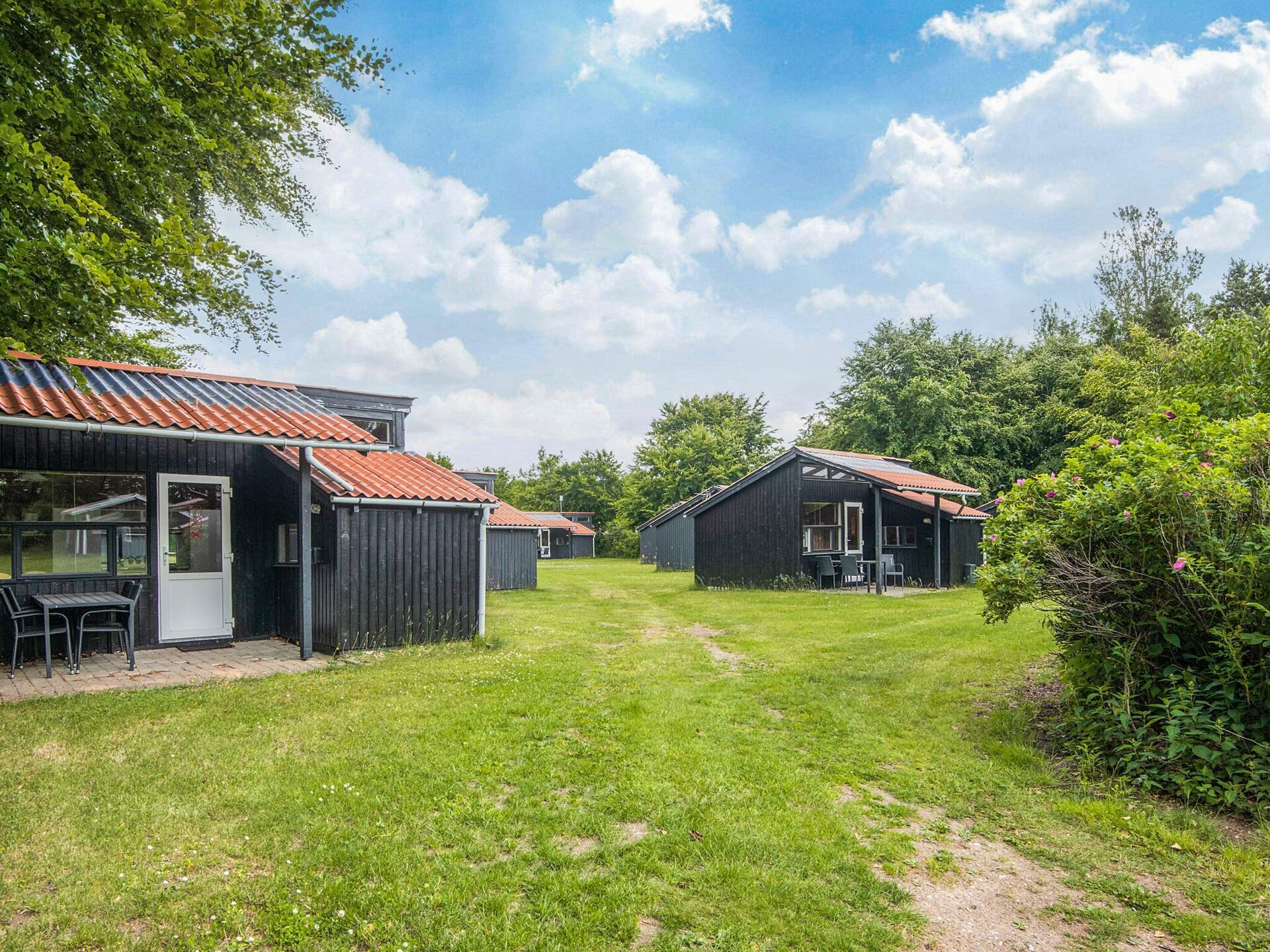 Knusse 4-persoons houten hut op Hampen Camping – Natuur en ontspanning bij het meer - foto 27