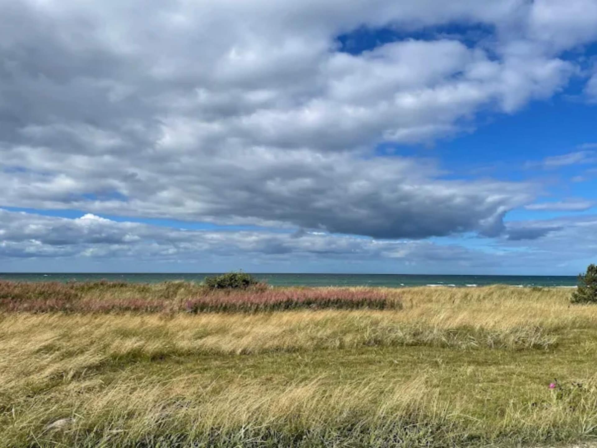 Eerstelijns strandhuis aan het Kattegat in Fjellerup voor 4 personen - foto 11