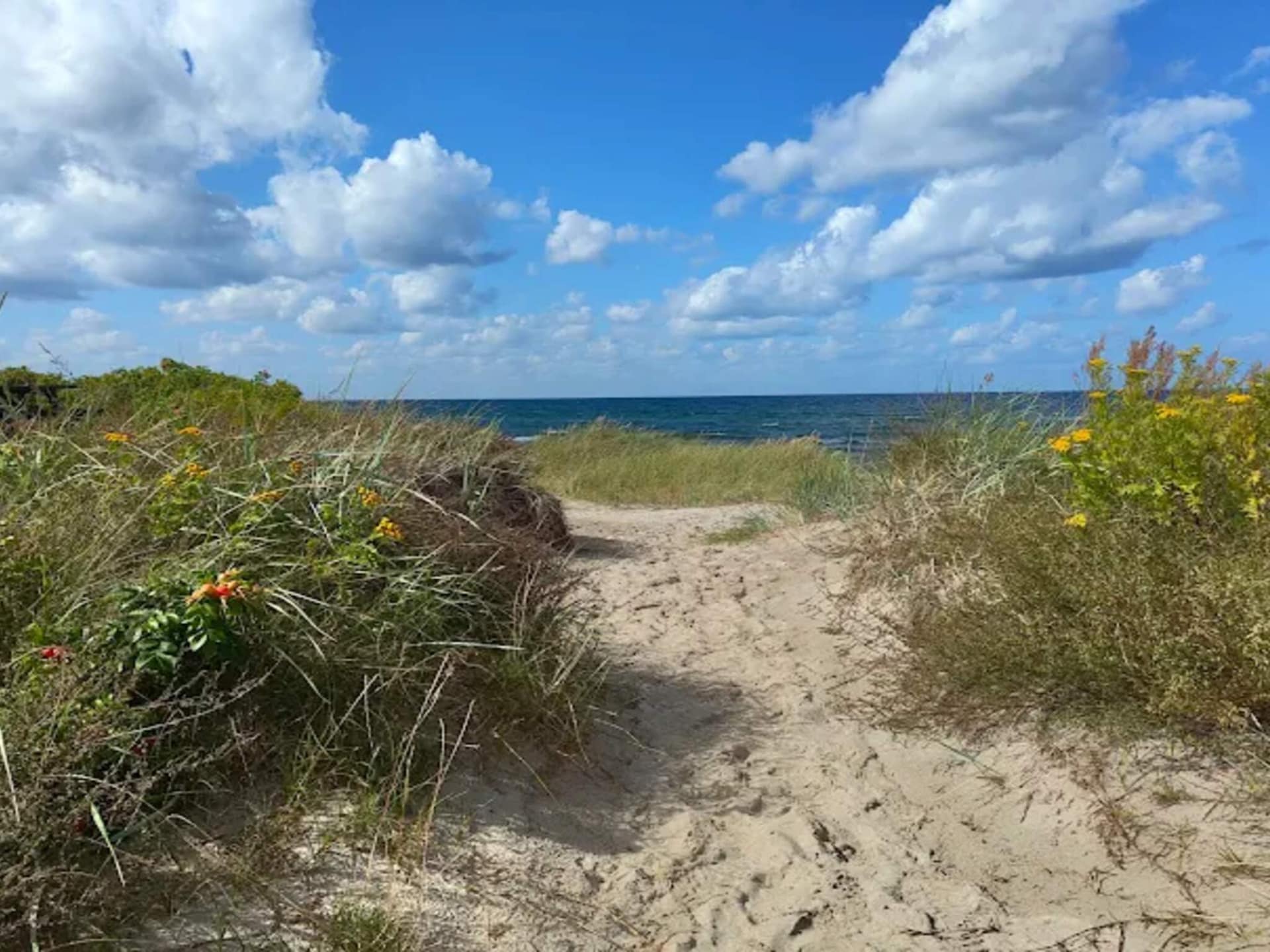 Eerstelijns strandhuis aan het Kattegat in Fjellerup voor 4 personen - foto 20