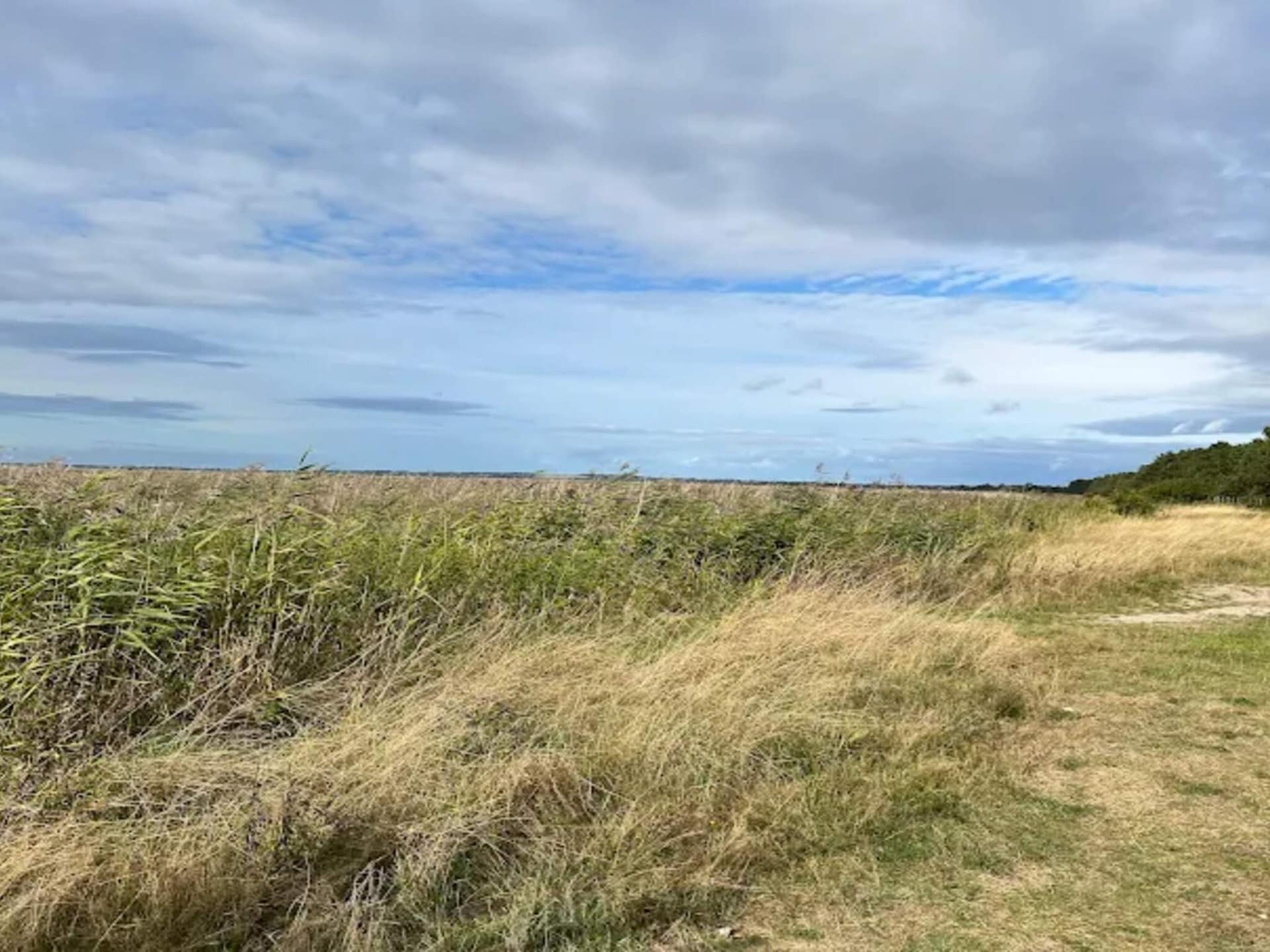 Op 800 m van het strand: ruim vakantiehuis voor 12 personen in Vig - foto 20