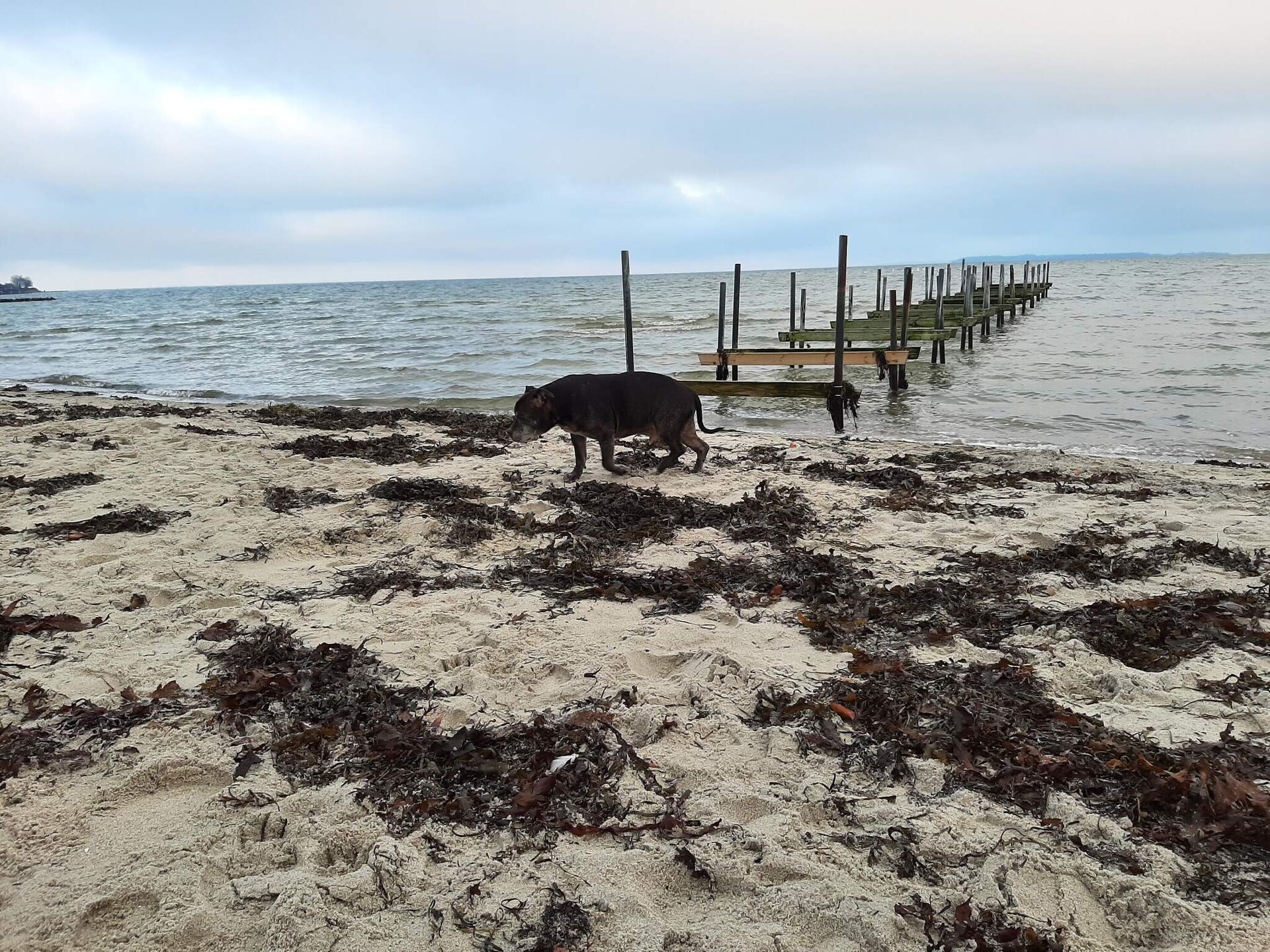 Panoramavakantiehuis bij Hejlsminde Strand, 300m van zee met sauna - foto 20