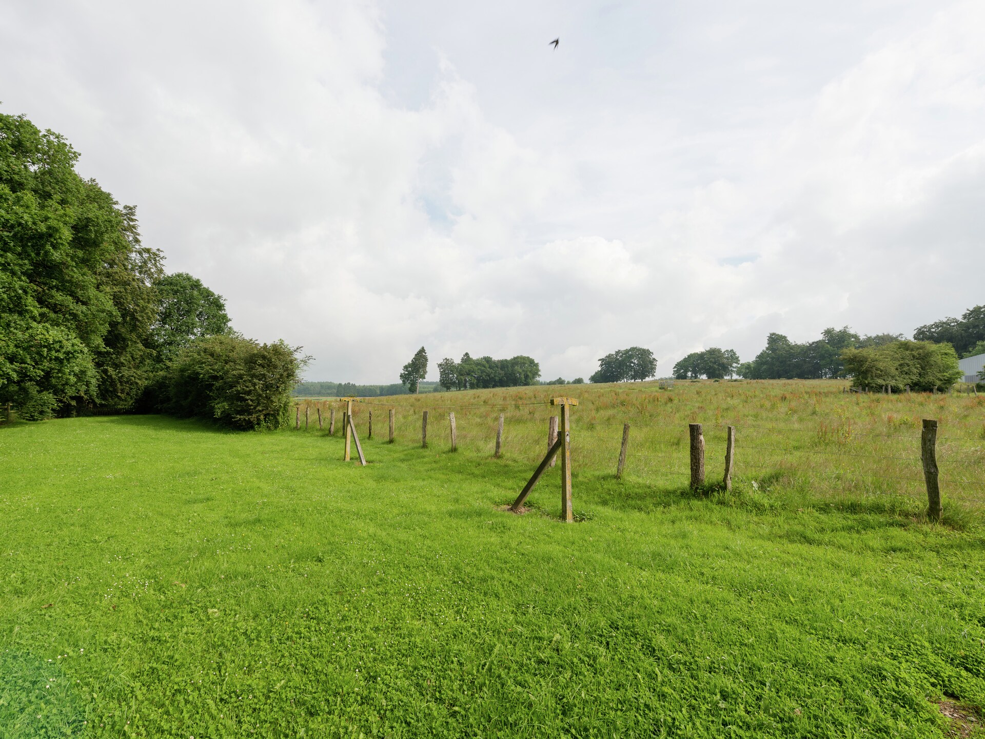Groepsaccommodatie met wellness in Deiffelt, 50 personen - foto 31