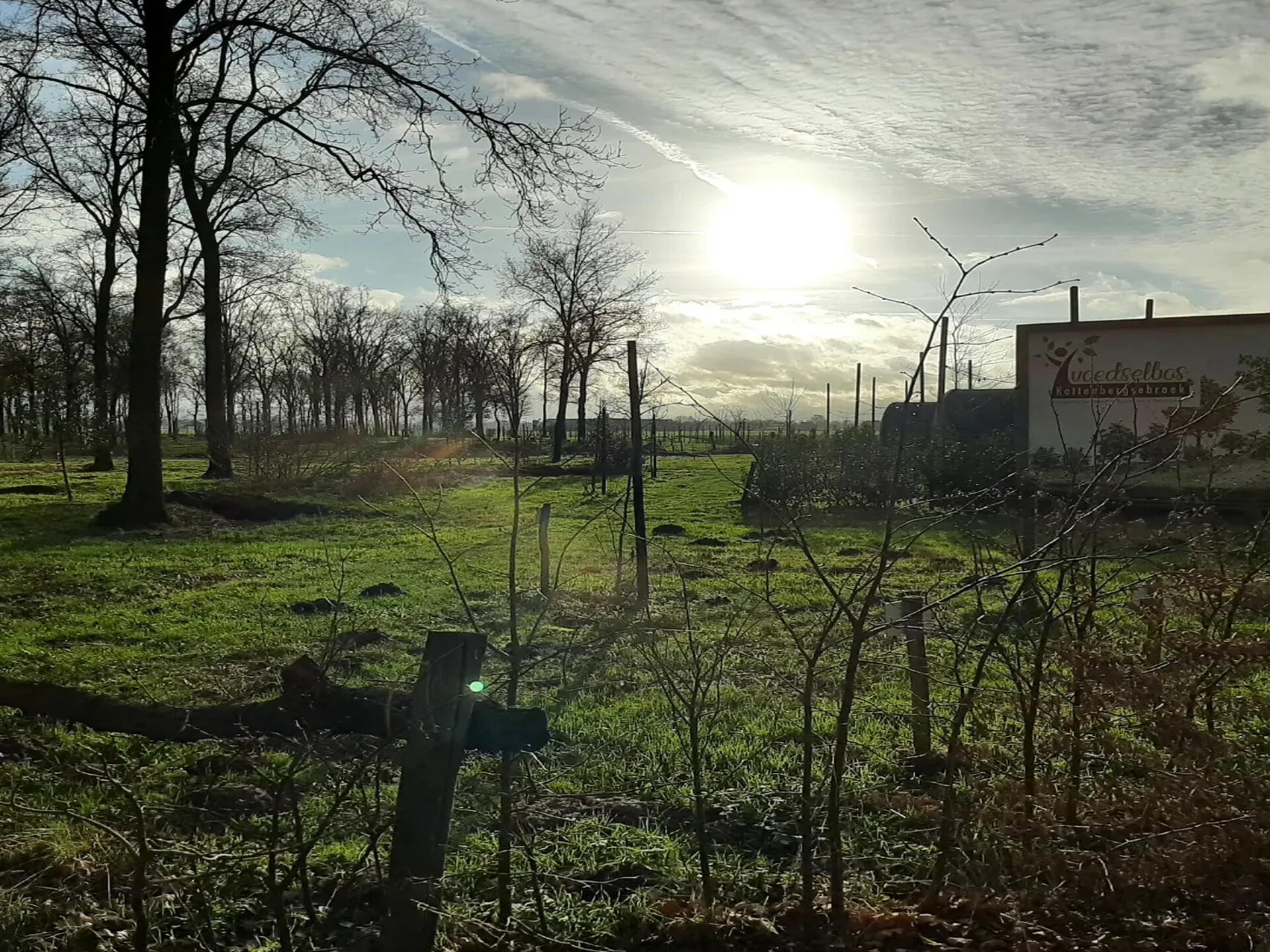 Het Boshuis: Sfeervolle groepsaccommodatie in bosrijk Kattenbergsebroek - foto 35