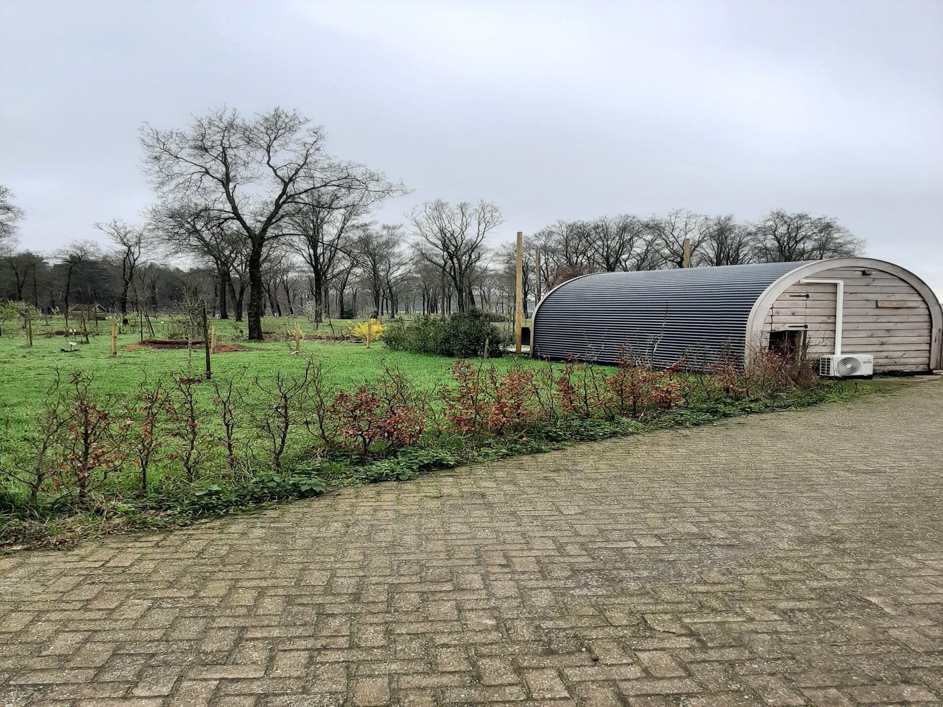 Tiny house De Ree en de Specht: romantisch verblijf in Oirschot - foto 11