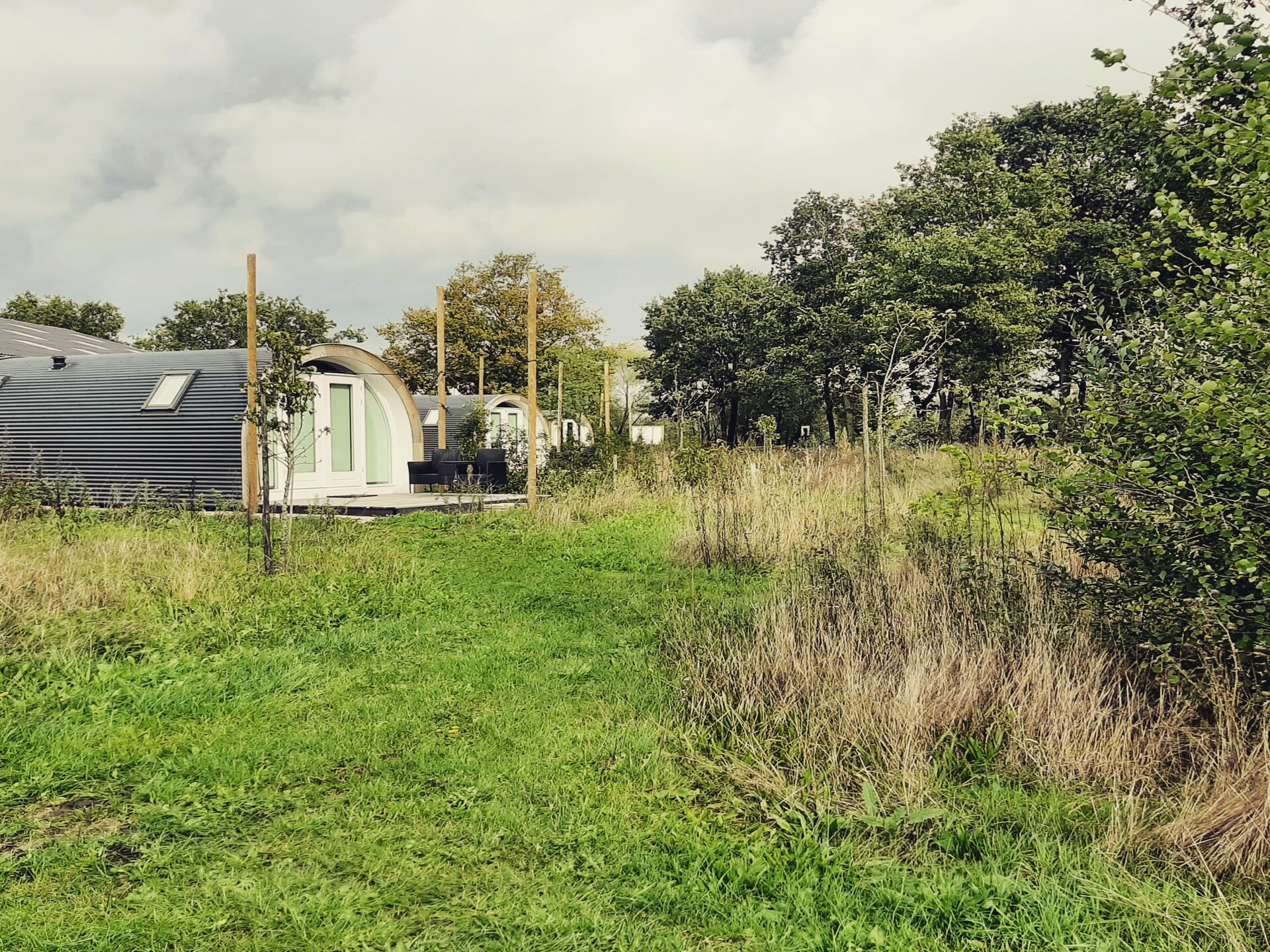 Tiny house De Ree en de Specht: romantisch verblijf in Oirschot - foto 12