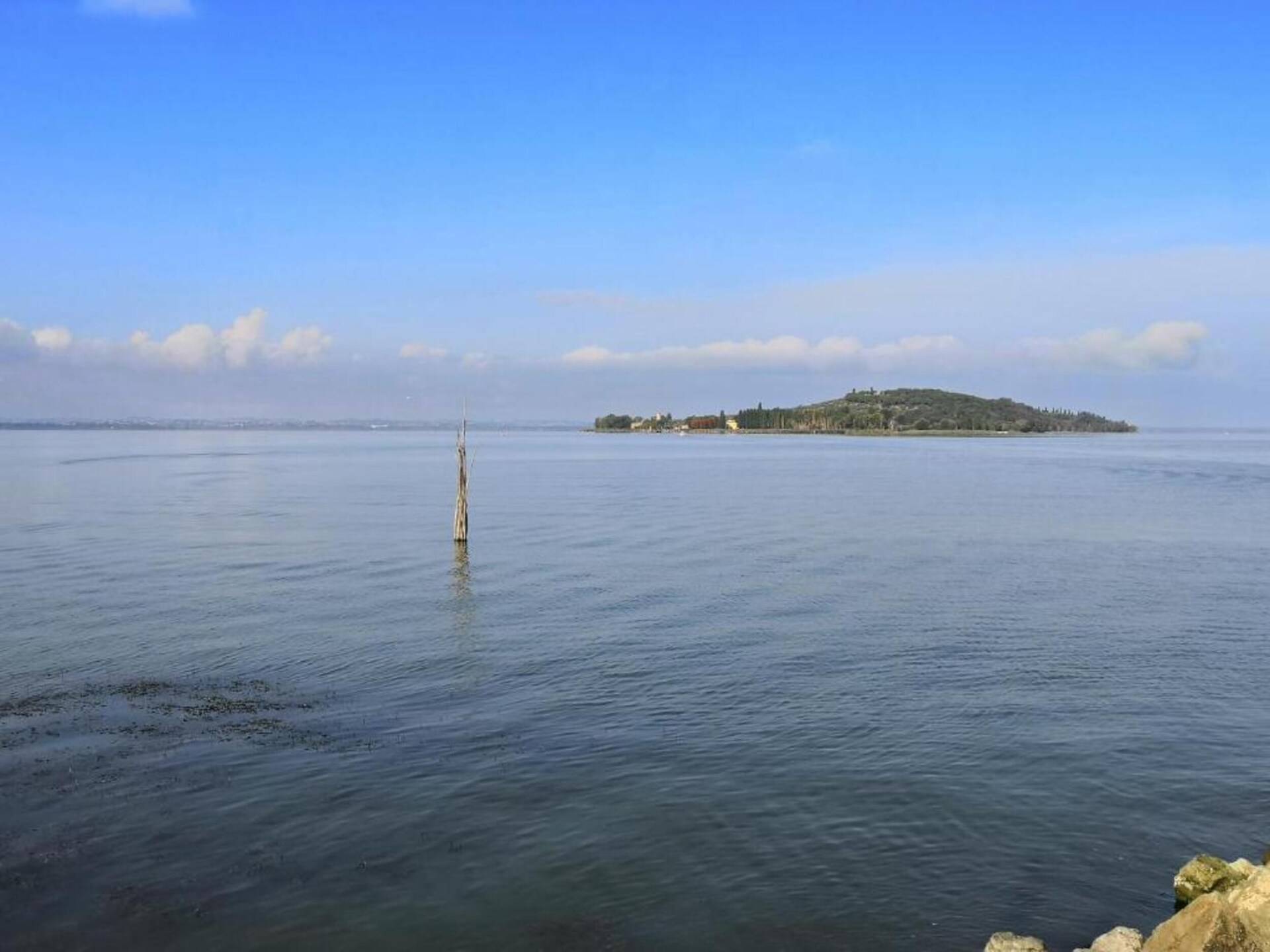 Vrijstaand boshuis bij het meer van Trasimeno, 7 personen - foto 29