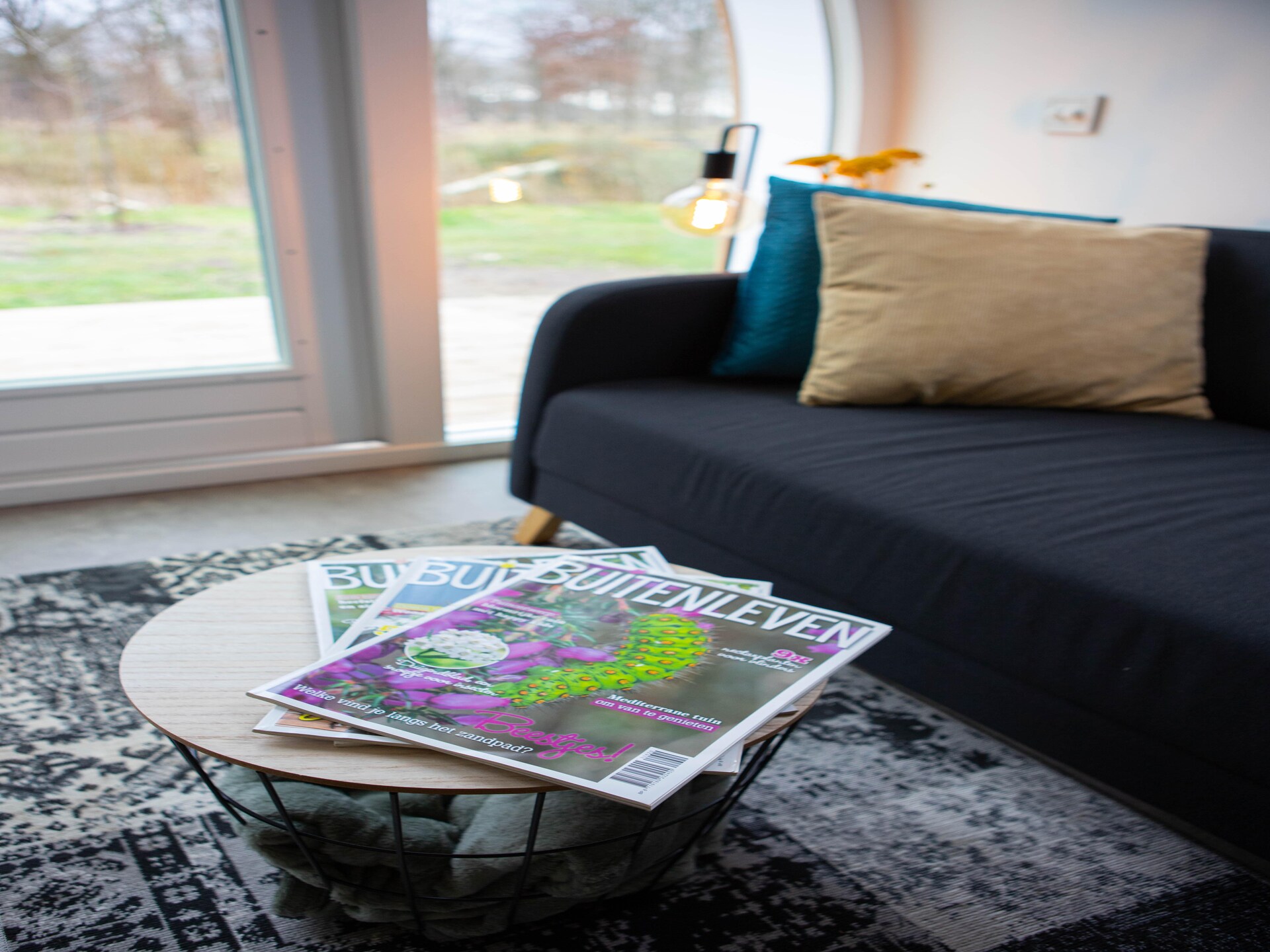 Tiny house De Kievit: romantisch verblijf in natuurgebied Kattenbergsebroek - foto 10