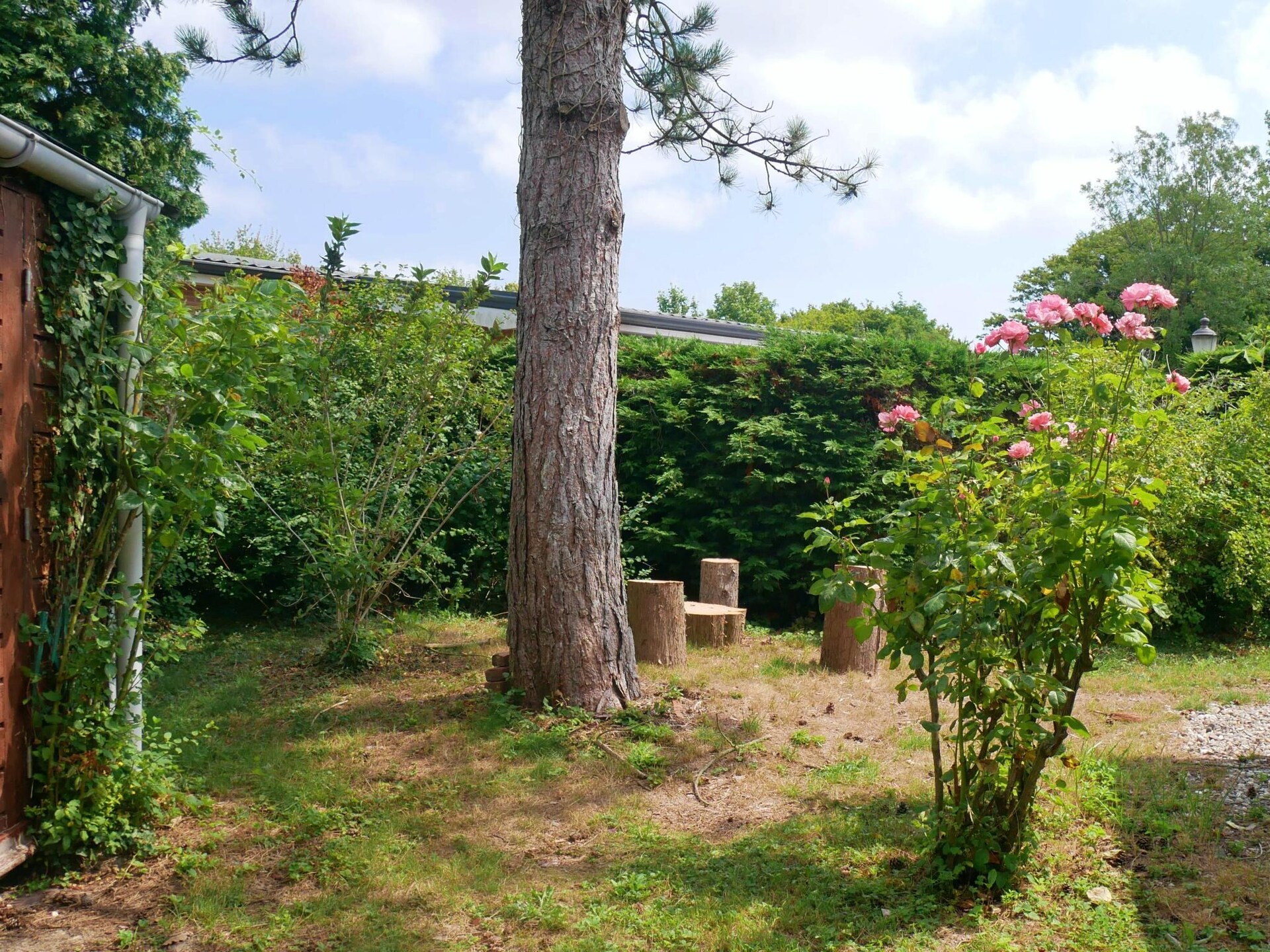 Ruim vakantiehuis met tuin op 200m van zee in Kamperland, Zeeland - foto 18