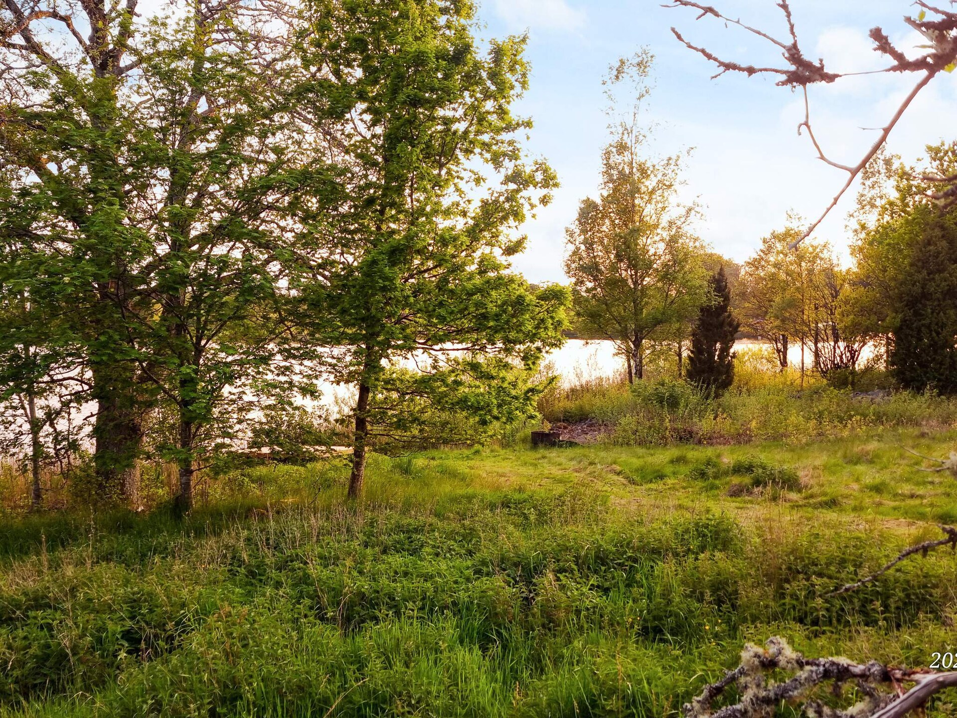 Knus vrijstaand vakantiehuis aan het meer in Småland - foto 4