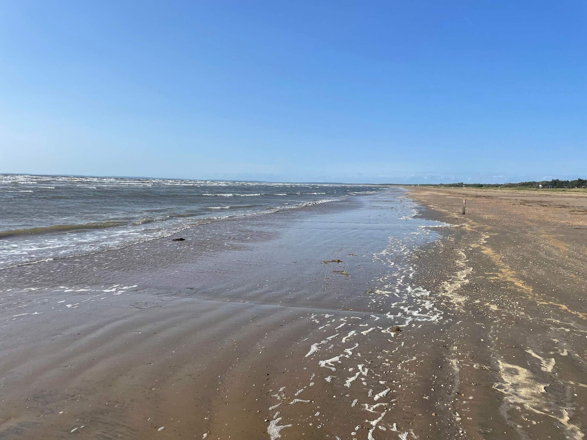 Modern vakantiehuis nabij 12 km lang zandstrand in Skummeslövsstrand - foto 15