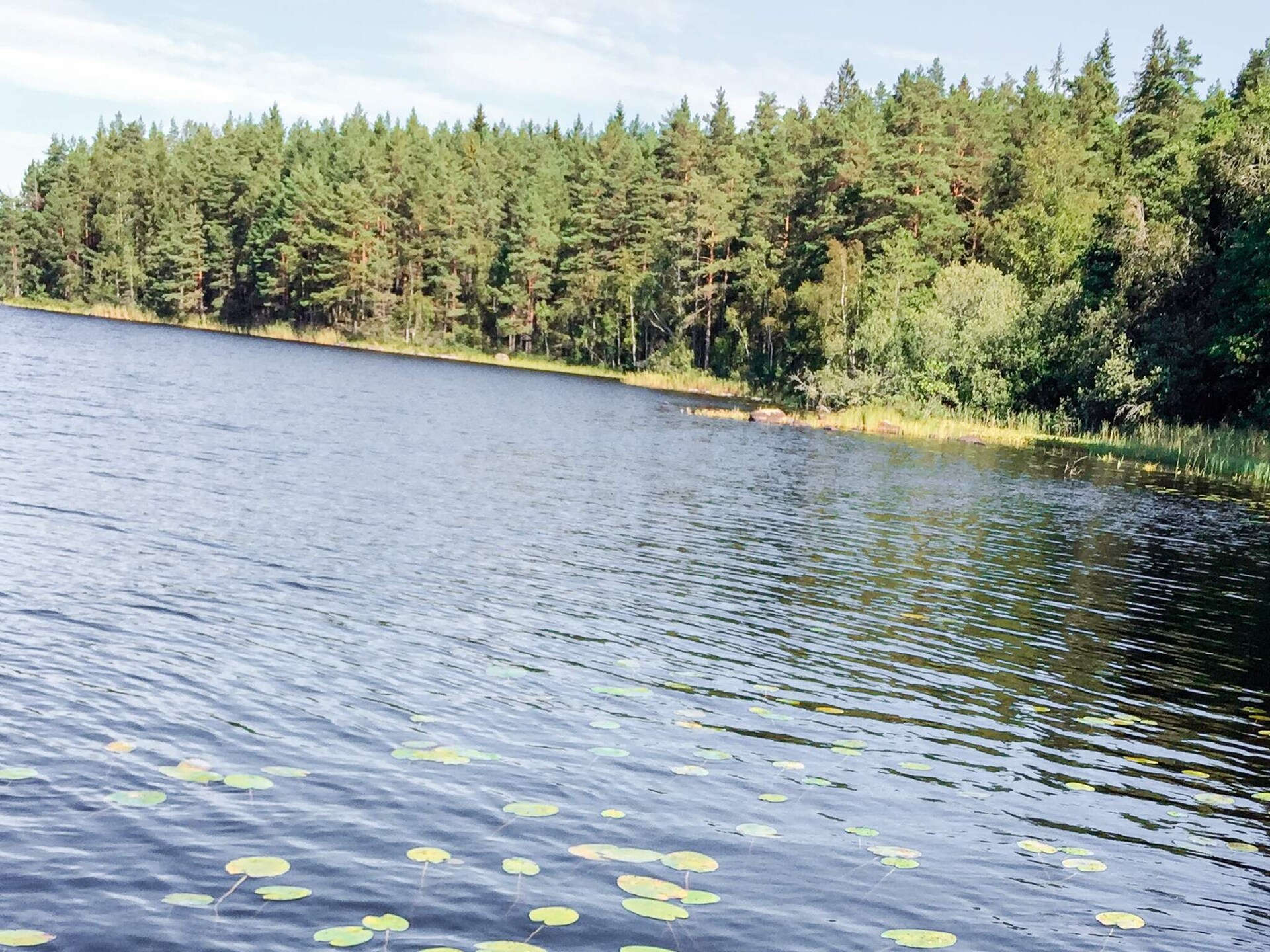 Zweeds zomerhuis bij idyllisch meer in Ärla – 8 personen - foto 18