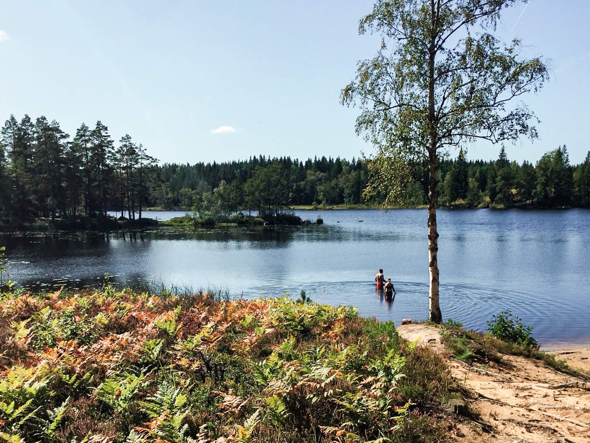 Zweeds zomerhuis bij idyllisch meer in Ärla – 8 personen - foto 20
