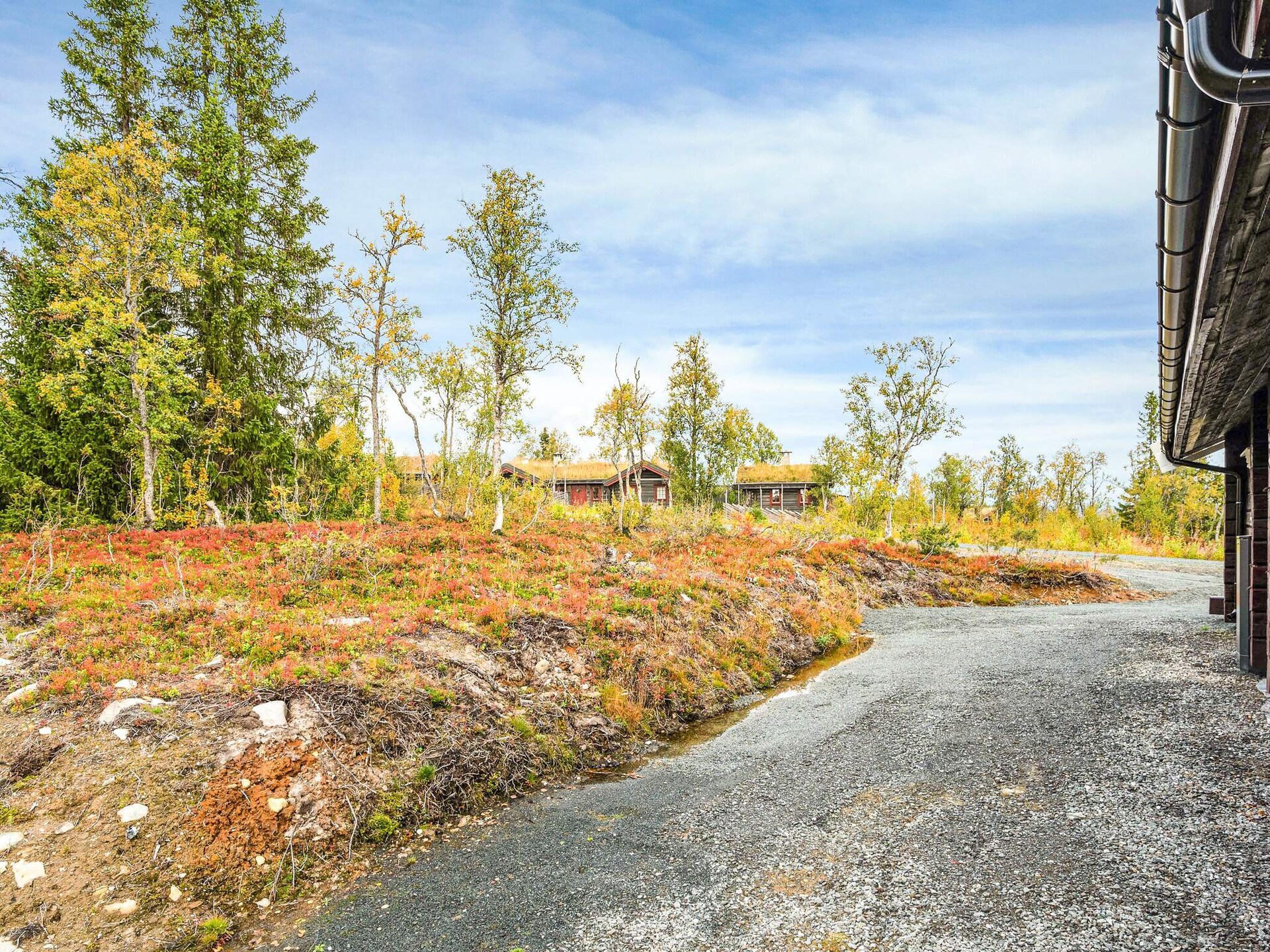 Authentiek Noors blokhutavontuur nabij Røros – 8 personen - foto 7