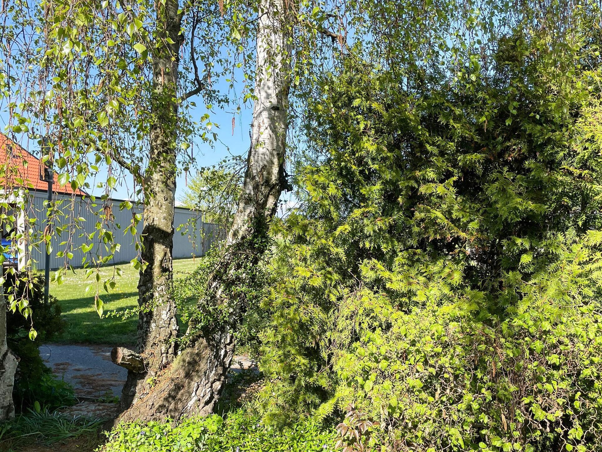 Compact vakantiehuis aan de golfbaan in Höllviken, op 2,5 km van het strand - foto 8