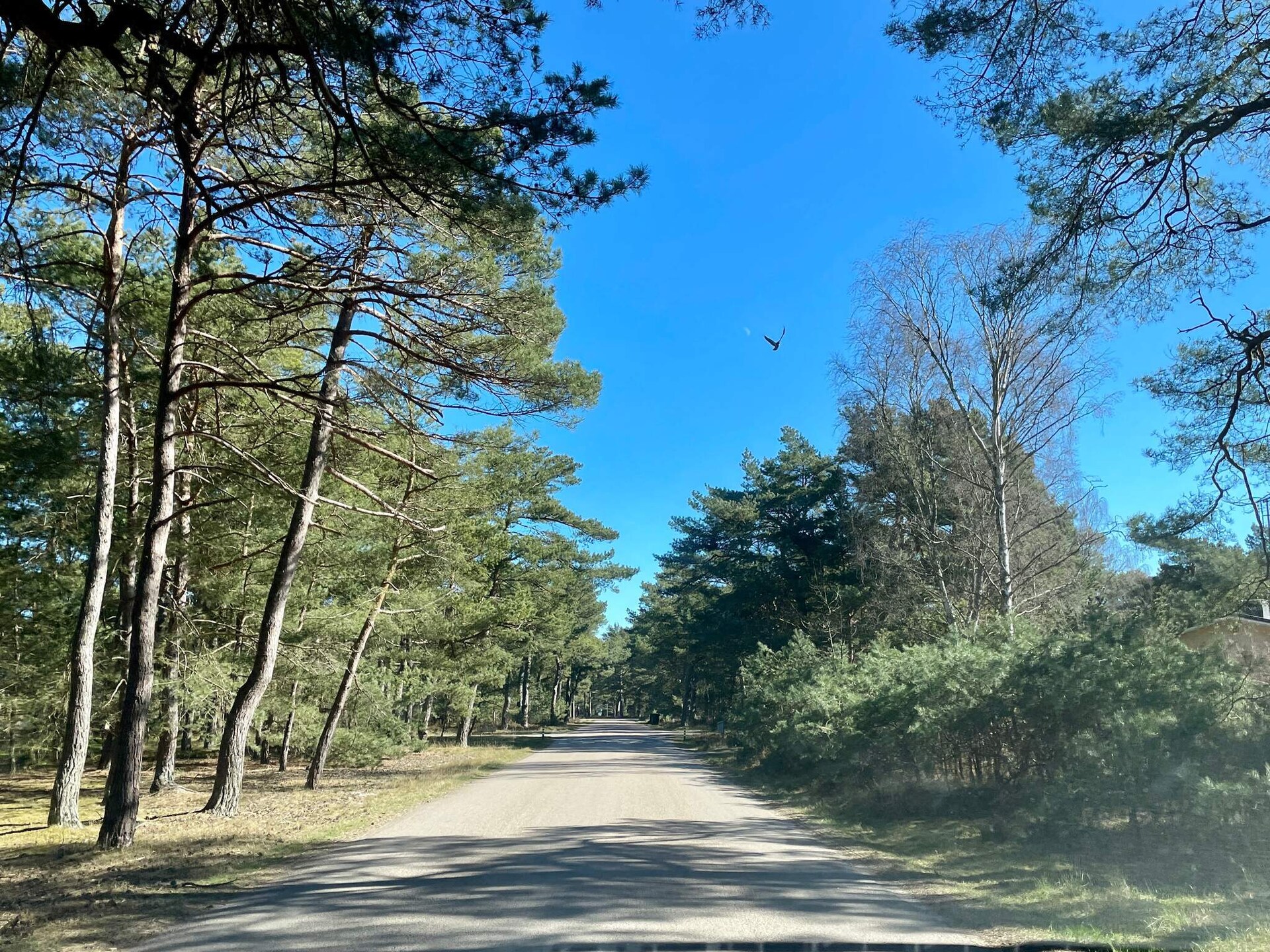 Compact vakantiehuis aan de golfbaan in Höllviken, op 2,5 km van het strand - foto 24