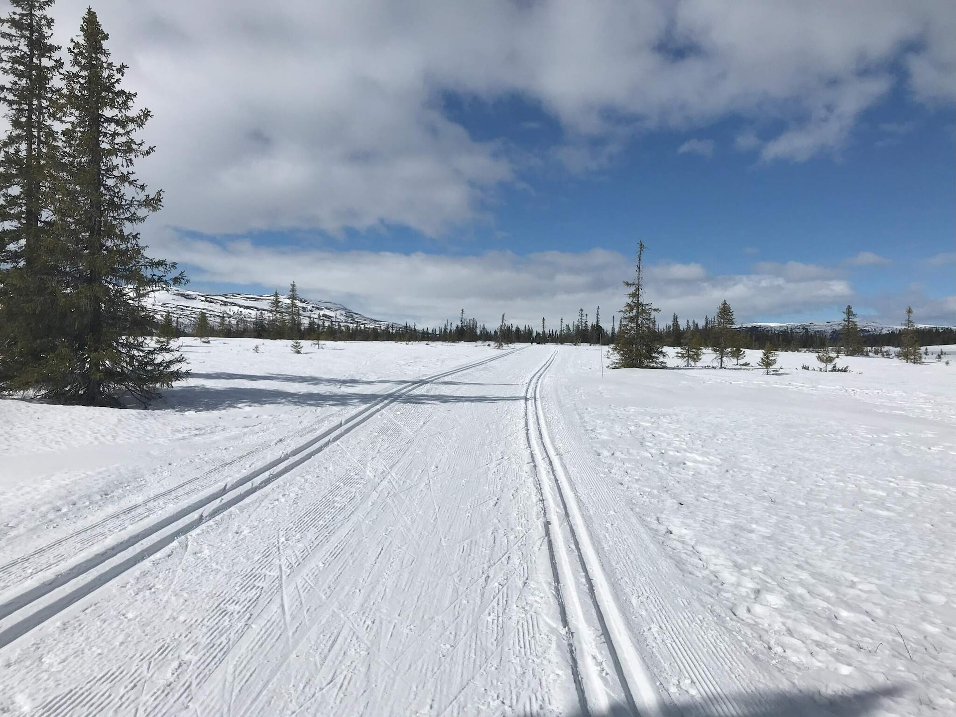 Aan de piste: Ruim vakantiehuis in Nordtorpa voor 10 personen - foto 7