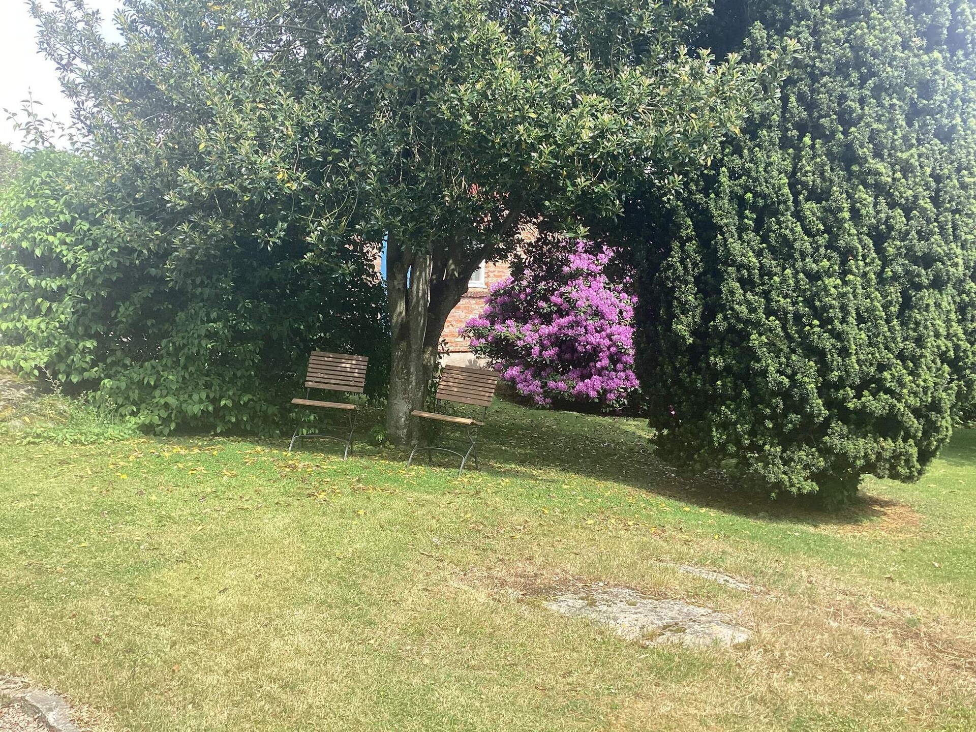 Knus gastenverblijf aan de Zweedse kust bij Steninge met privétuin - foto 5