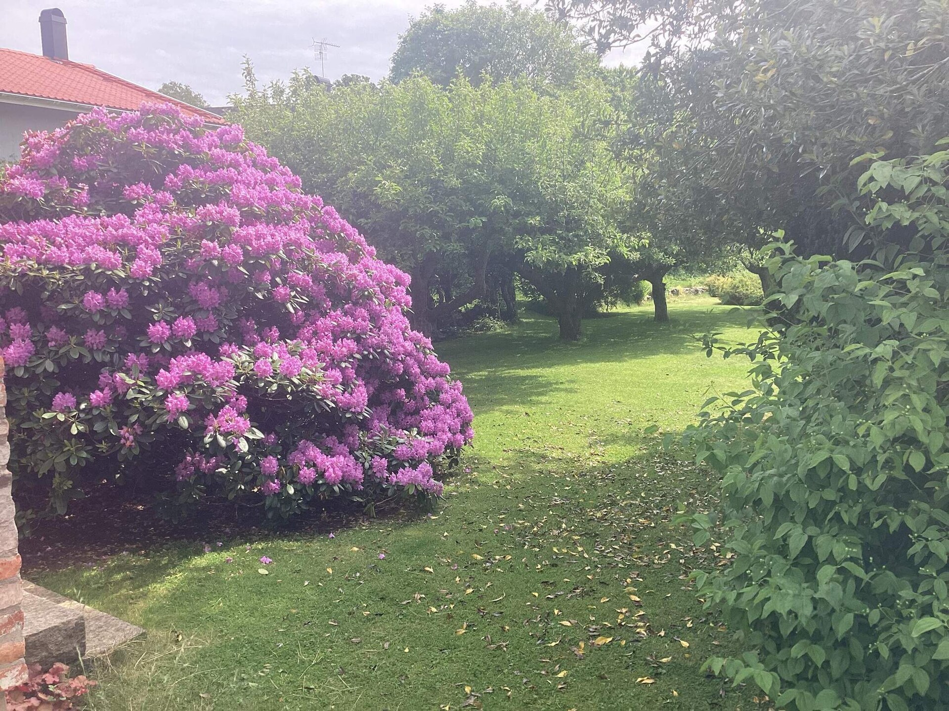 Knus gastenverblijf aan de Zweedse kust bij Steninge met privétuin - foto 7