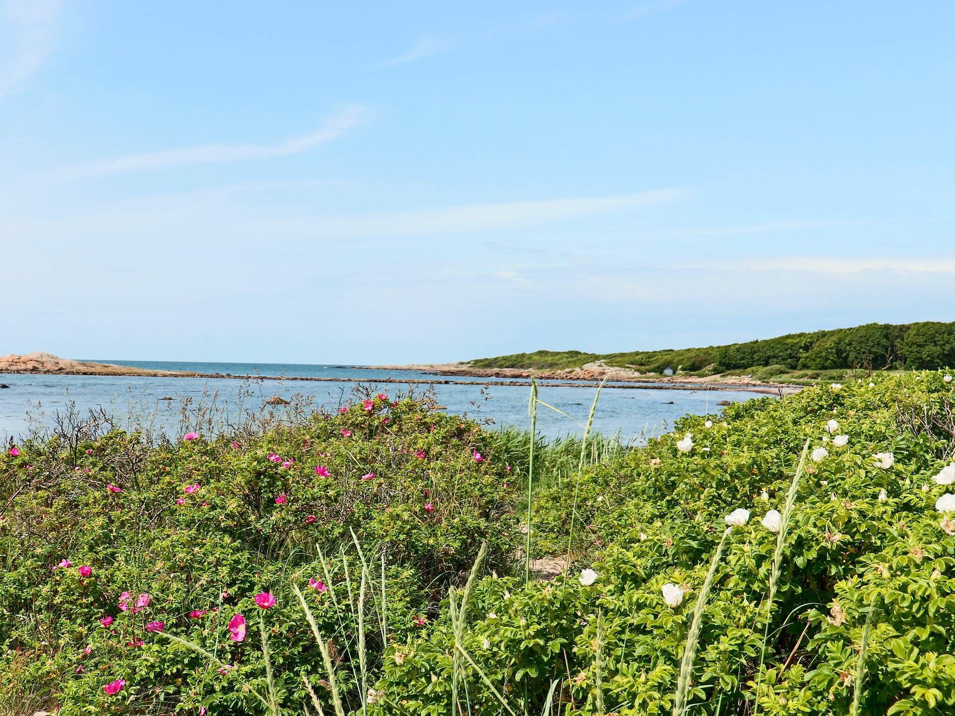 Knus gastenverblijf aan de Zweedse kust bij Steninge met privétuin - foto 25
