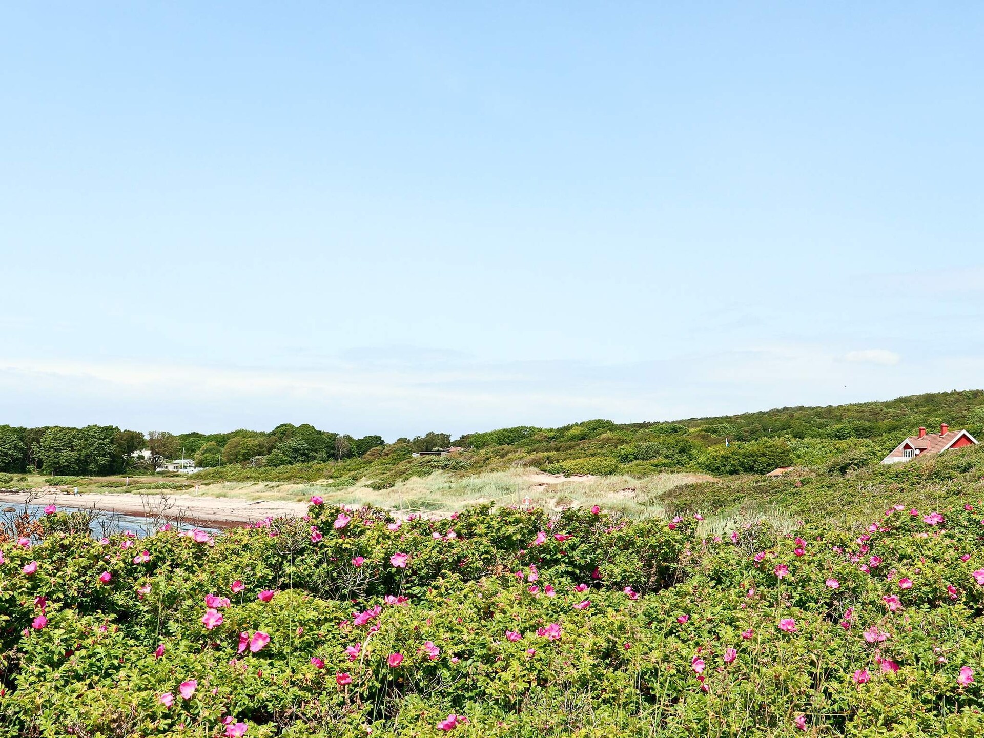 Knus gastenverblijf aan de Zweedse kust bij Steninge met privétuin - foto 26