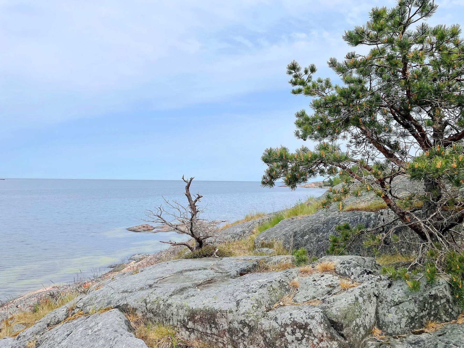 Zweedse archipelvilla met zeezicht en sauna op 40 meter van het strand - foto 14