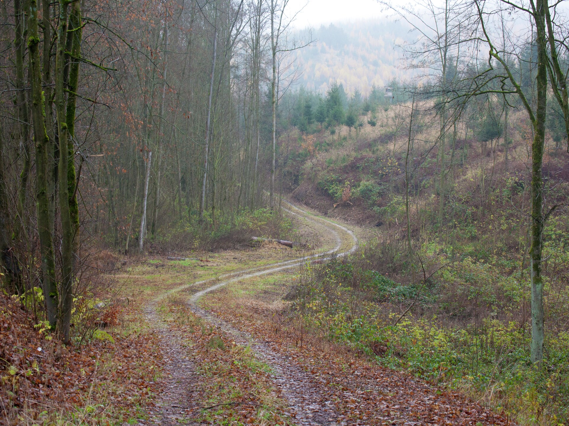 Knus appartement in Ilsenburg, direct aan het bos en nabij de Harz - foto 38
