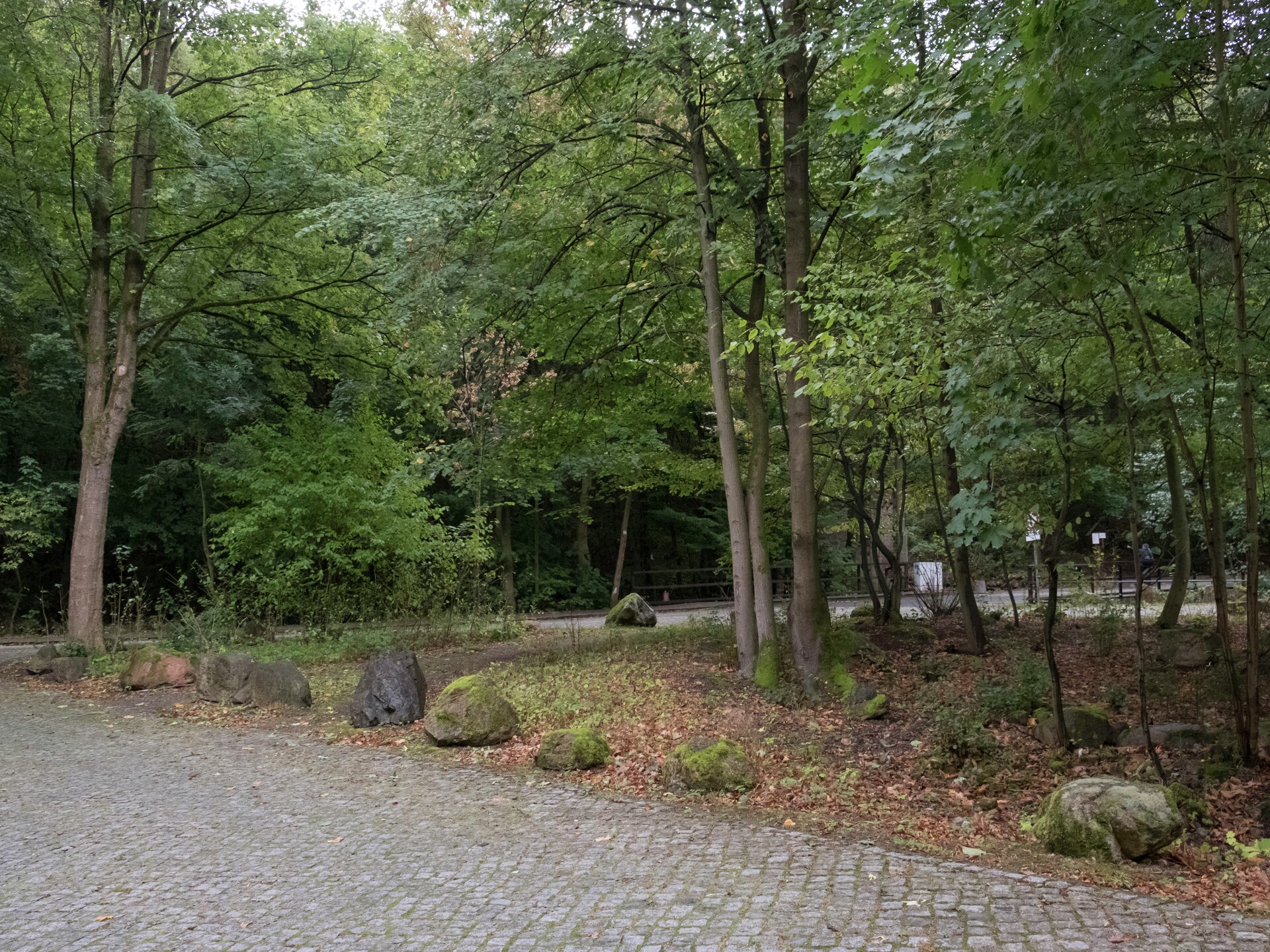 Knus appartement in Ilsenburg, direct aan het bos en nabij de Harz - foto 24