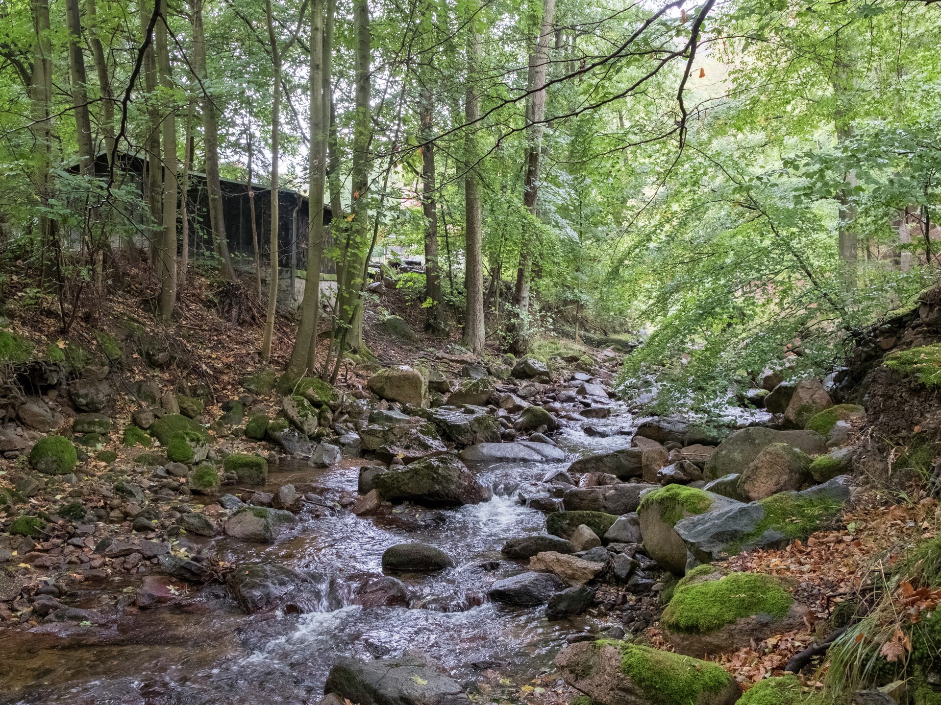 Knus appartement in Ilsenburg, direct aan het bos en nabij de Harz - foto 23