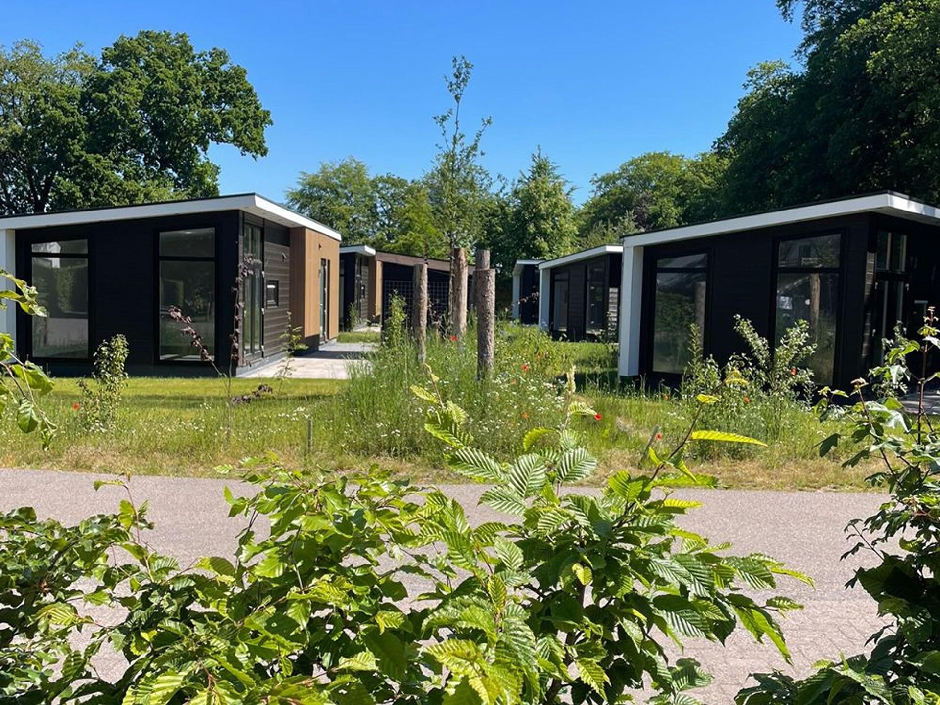 Yn 't Bosk: Luxe vakantiehuis op sprookjesachtig Fries landgoed - foto 18