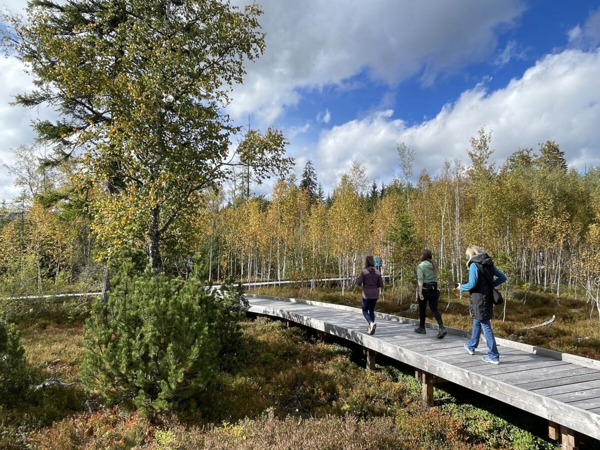 Ruim vakantiehuis met tuin op 1 km van de piste in Zwiesel - foto 16