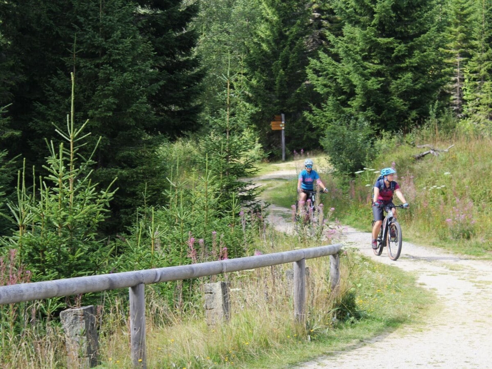 Ruim vakantiehuis met tuin op 1 km van de piste in Zwiesel - foto 17