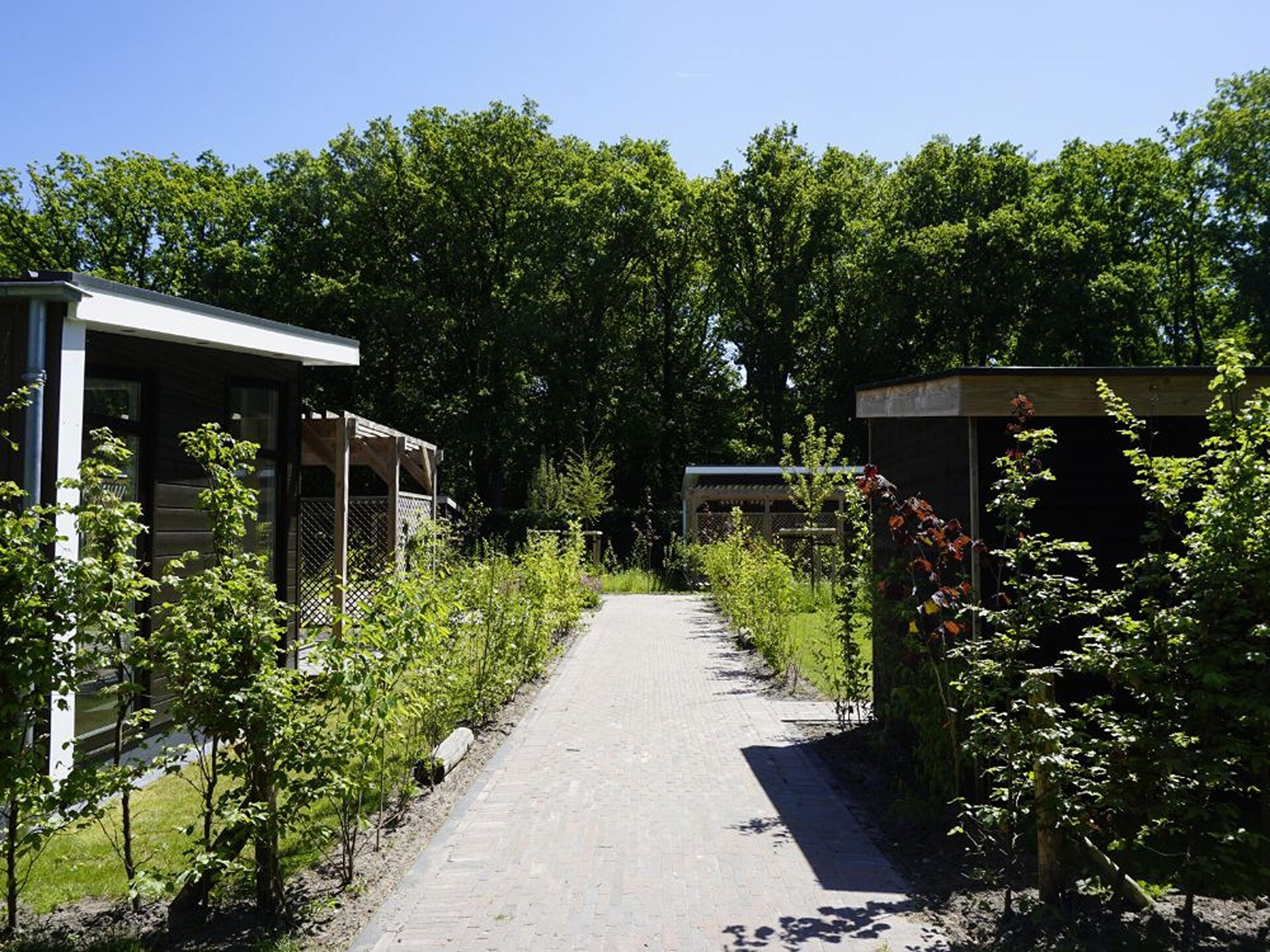 Op'e Pleats: Luxe vrijstaand vakantiehuis in het Friese bos - foto 9