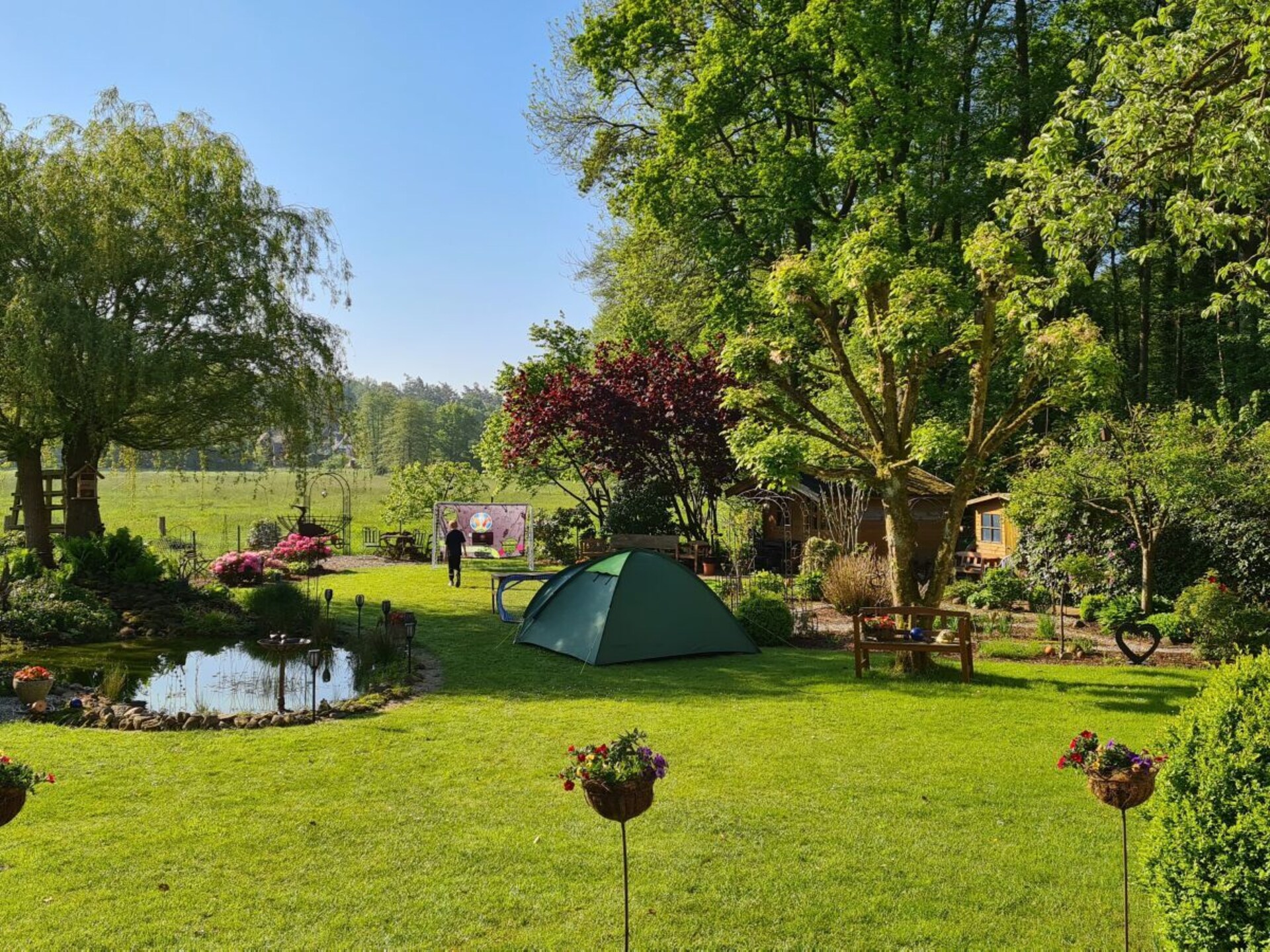 Vakantiehuis Walsrode voor 4 personen met terras en barbecue - foto 4