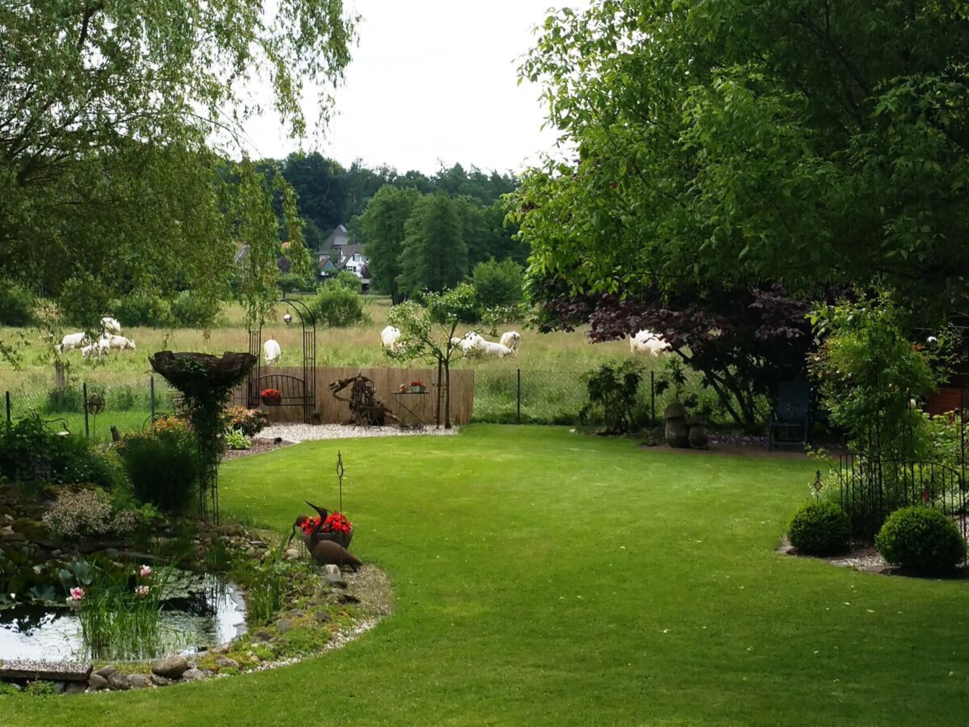 Vakantiehuis Walsrode voor 4 personen met terras en barbecue - foto 6