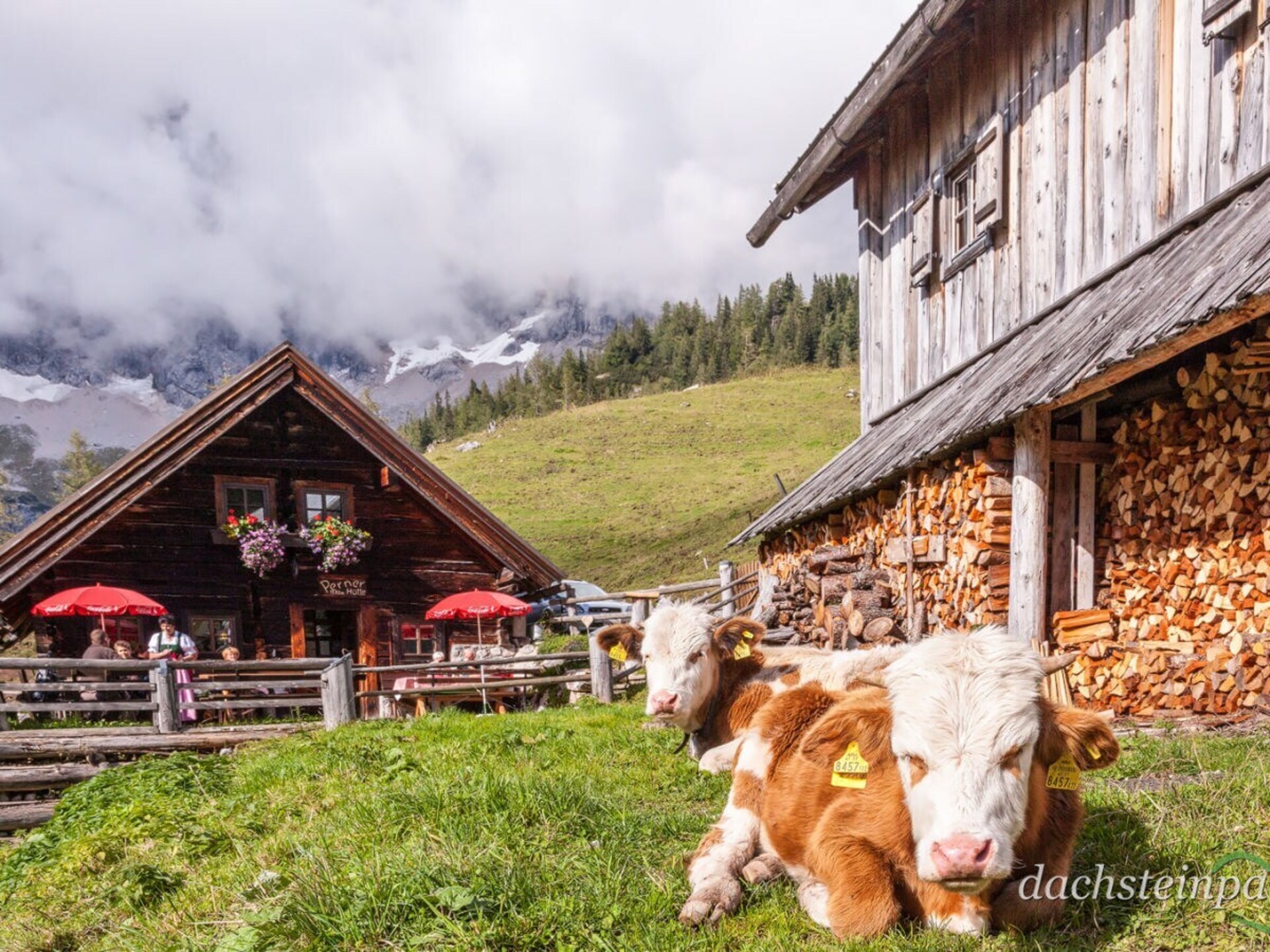 Vrijstaand houten chalet aan de bosrand in Ramsau am Dachstein - foto 18