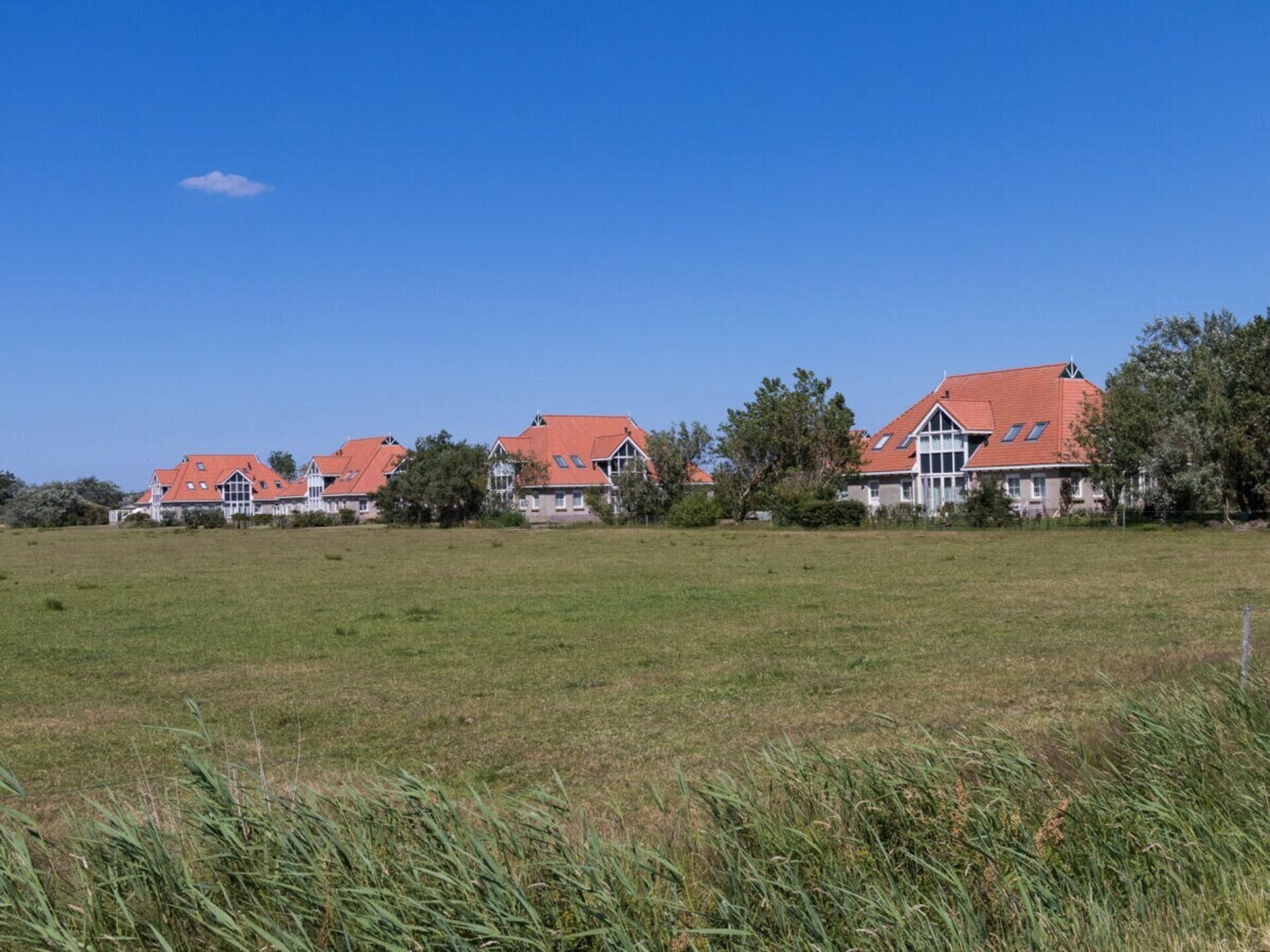 Comfortabel vakantiehuis met sauna op 500m van centrum Hollum, Ameland - foto 6